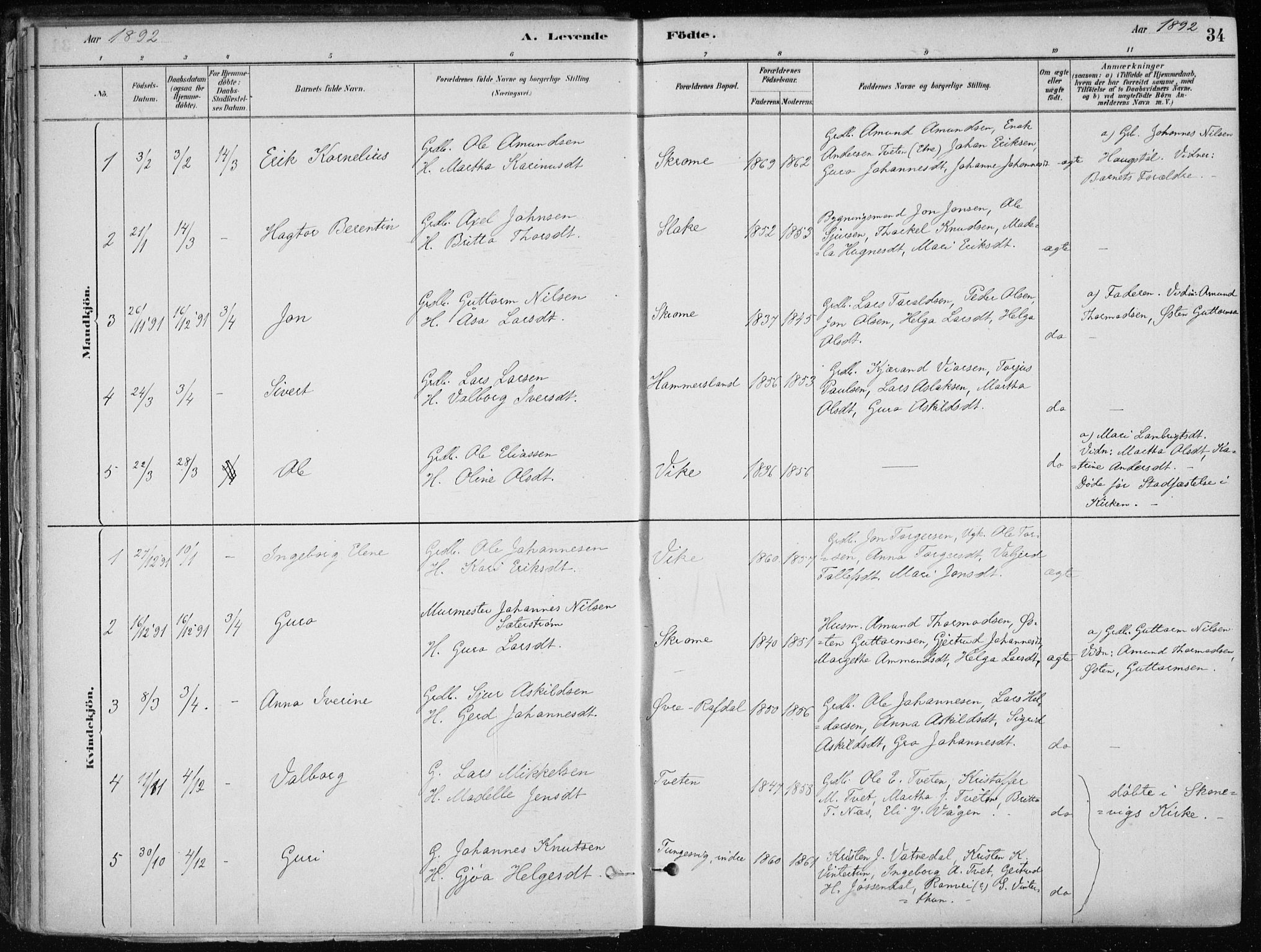 Skånevik sokneprestembete, SAB/A-77801/H/Haa: Parish register (official) no. E  1, 1879-1901, p. 34