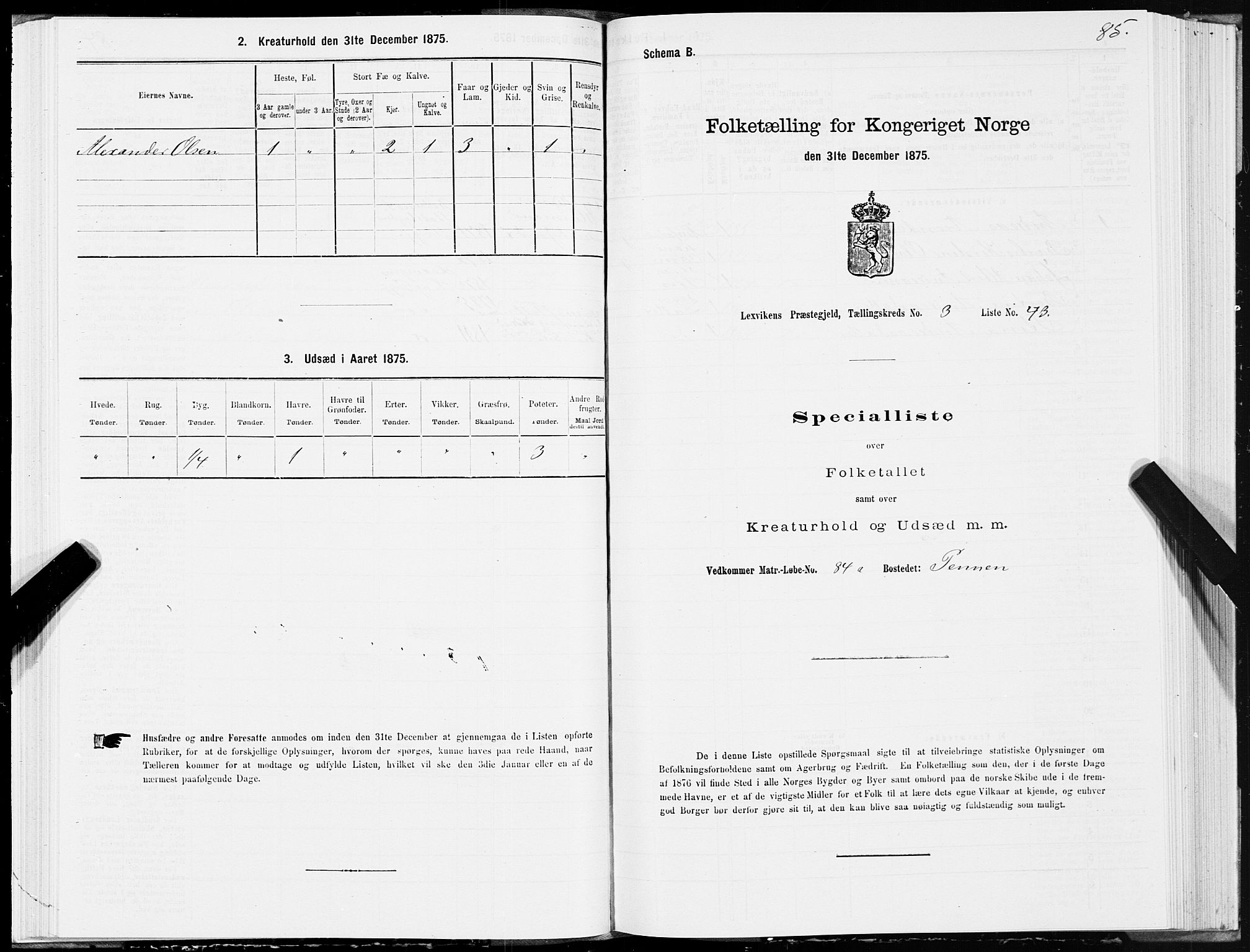 SAT, 1875 census for 1718P Leksvik, 1875, p. 2085