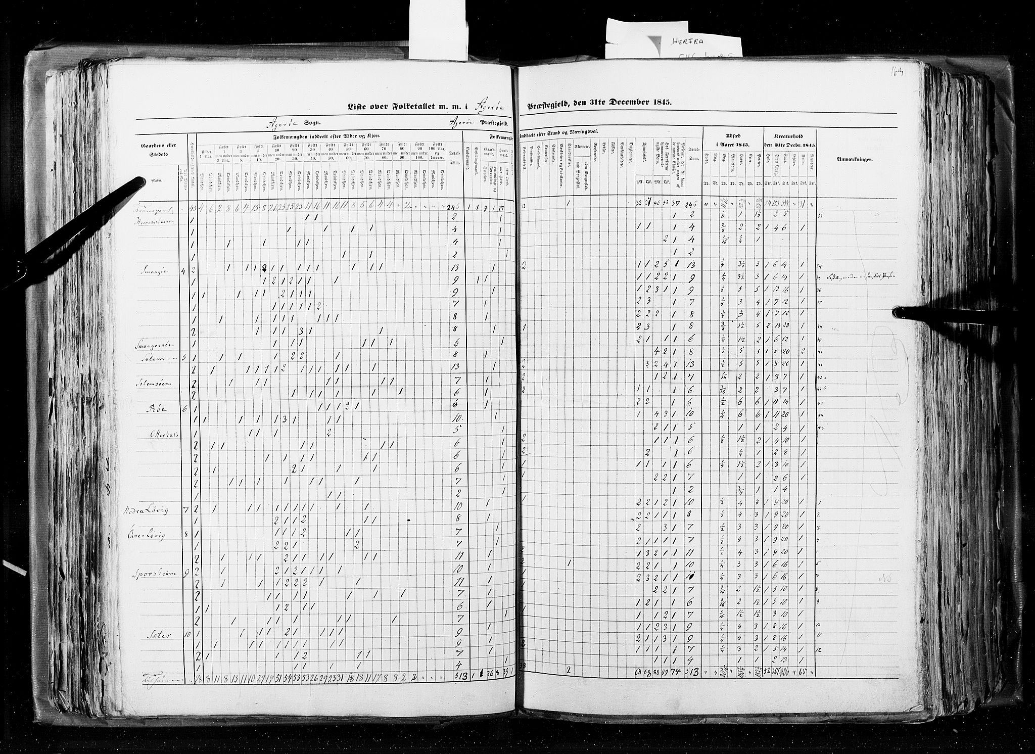 RA, Census 1845, vol. 8: Romsdal amt og Søndre Trondhjems amt, 1845, p. 163