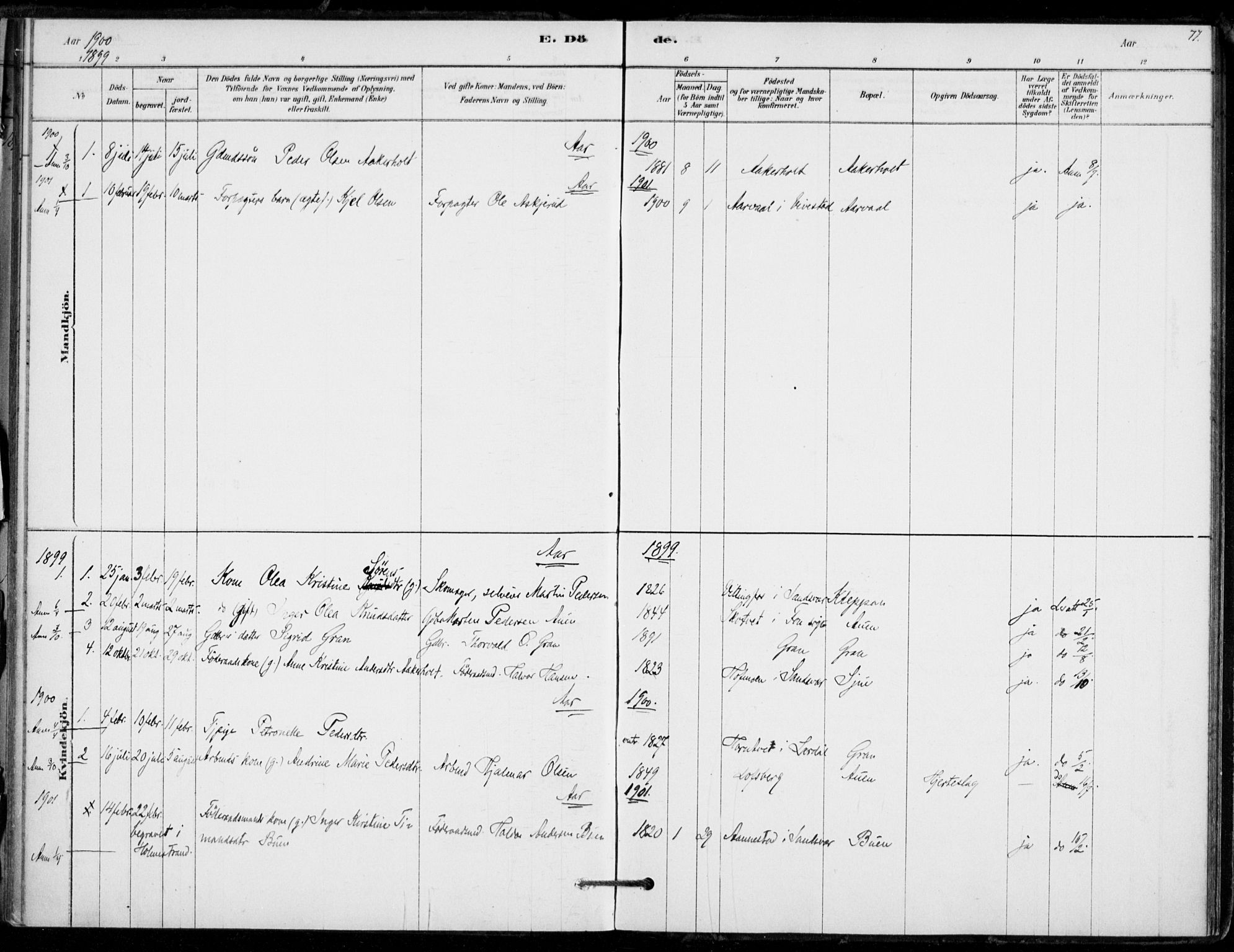 Hof kirkebøker, AV/SAKO-A-64/F/Fb/L0001: Parish register (official) no. II 1, 1878-1907, p. 77