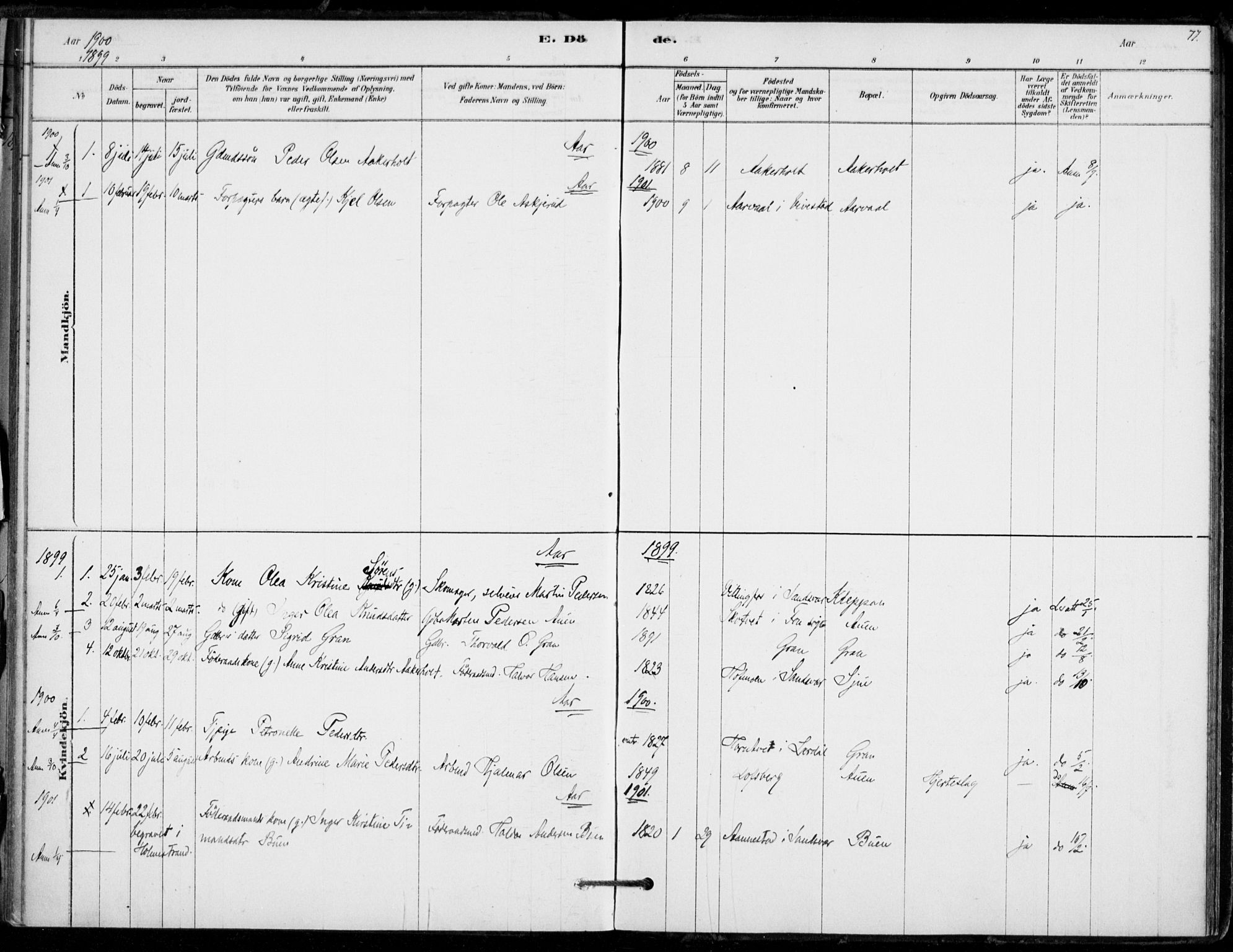 Hof kirkebøker, SAKO/A-64/F/Fb/L0001: Parish register (official) no. II 1, 1878-1907, p. 77