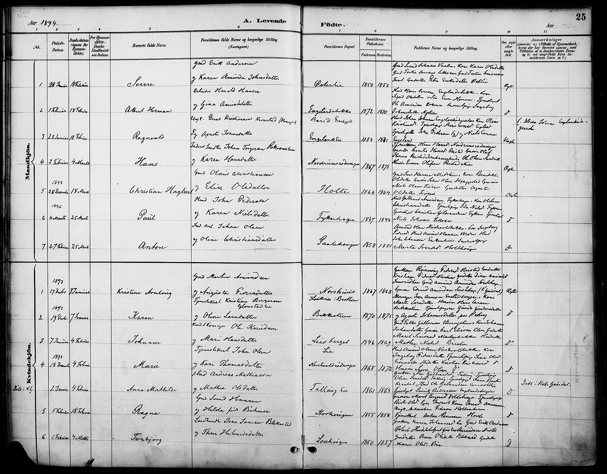 Østre Gausdal prestekontor, SAH/PREST-092/H/Ha/Haa/L0002: Parish register (official) no. 2, 1887-1897, p. 25