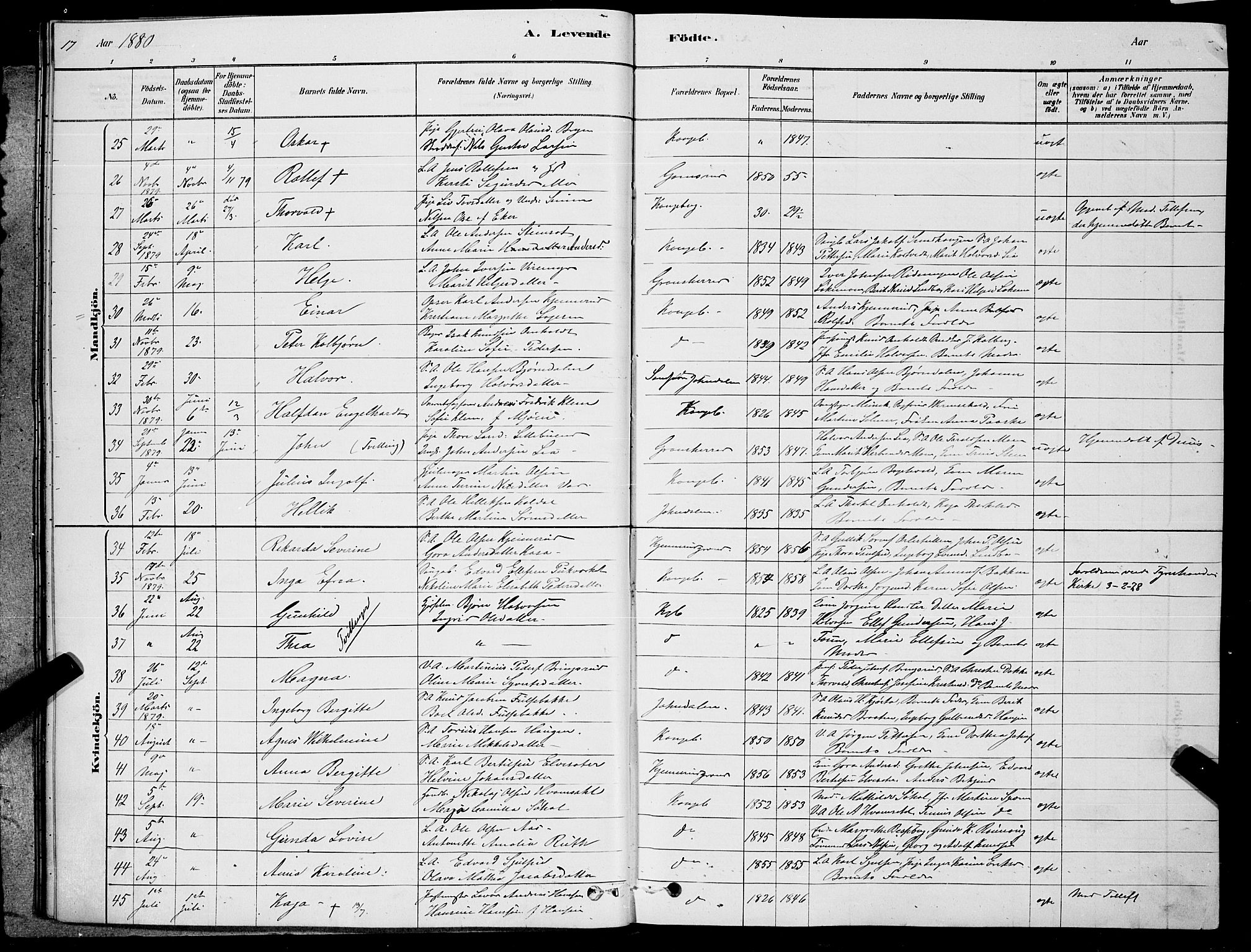 Kongsberg kirkebøker, SAKO/A-22/G/Ga/L0005: Parish register (copy) no. 5, 1878-1889, p. 17