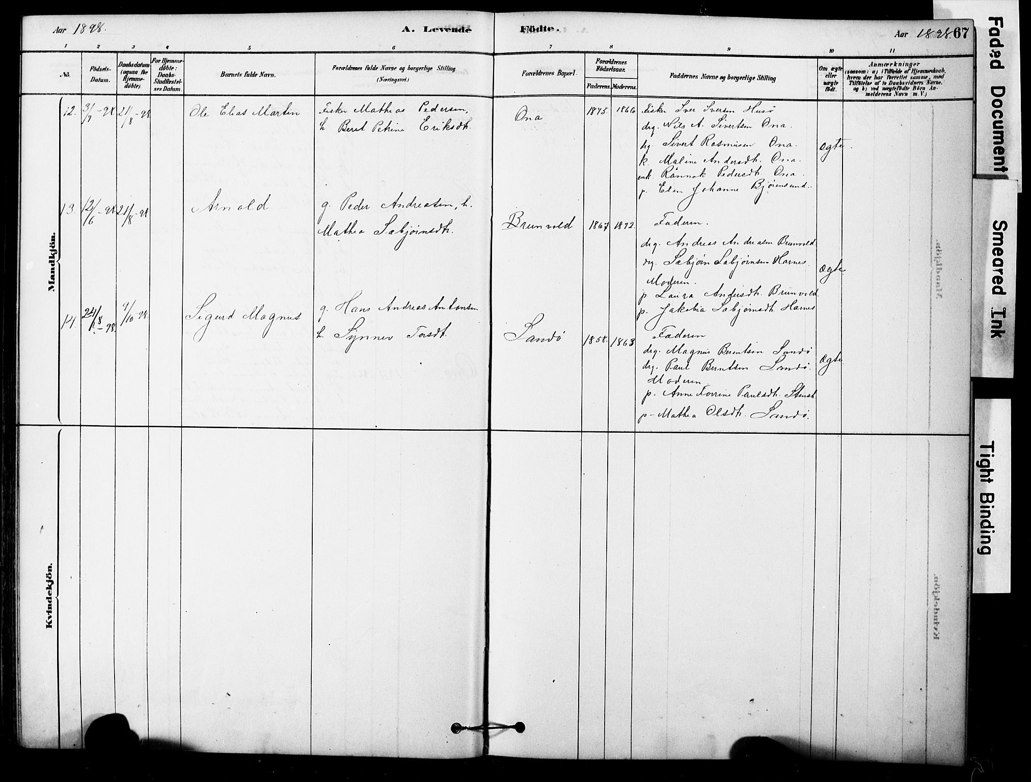 Ministerialprotokoller, klokkerbøker og fødselsregistre - Møre og Romsdal, AV/SAT-A-1454/561/L0729: Parish register (official) no. 561A03, 1878-1900, p. 67