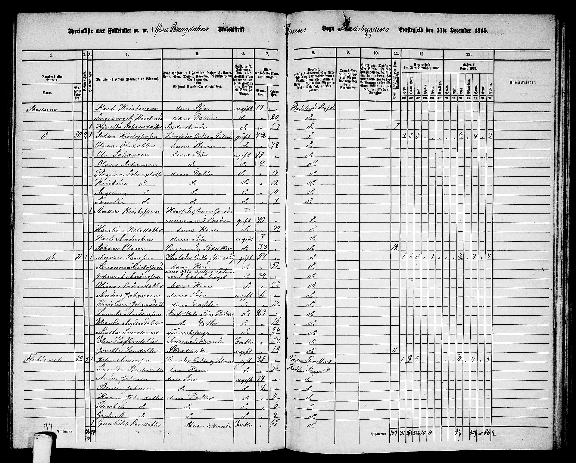 RA, 1865 census for Stadsbygd, 1865, p. 162