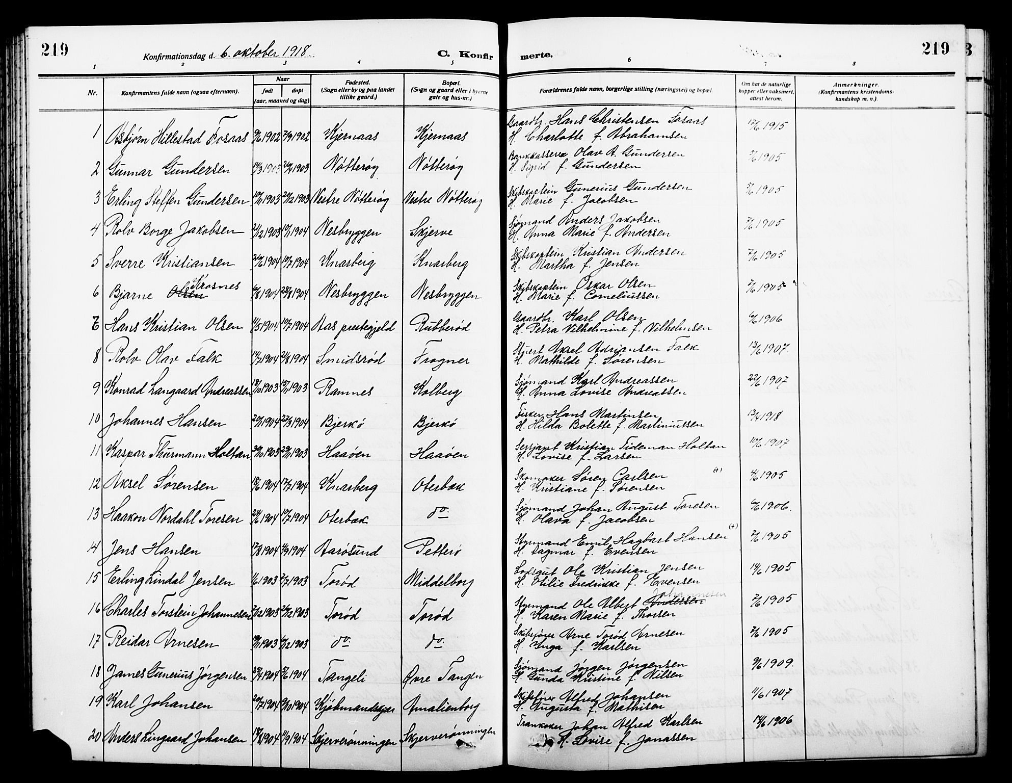 Nøtterøy kirkebøker, AV/SAKO-A-354/G/Ga/L0005: Parish register (copy) no. I 5, 1910-1924, p. 219