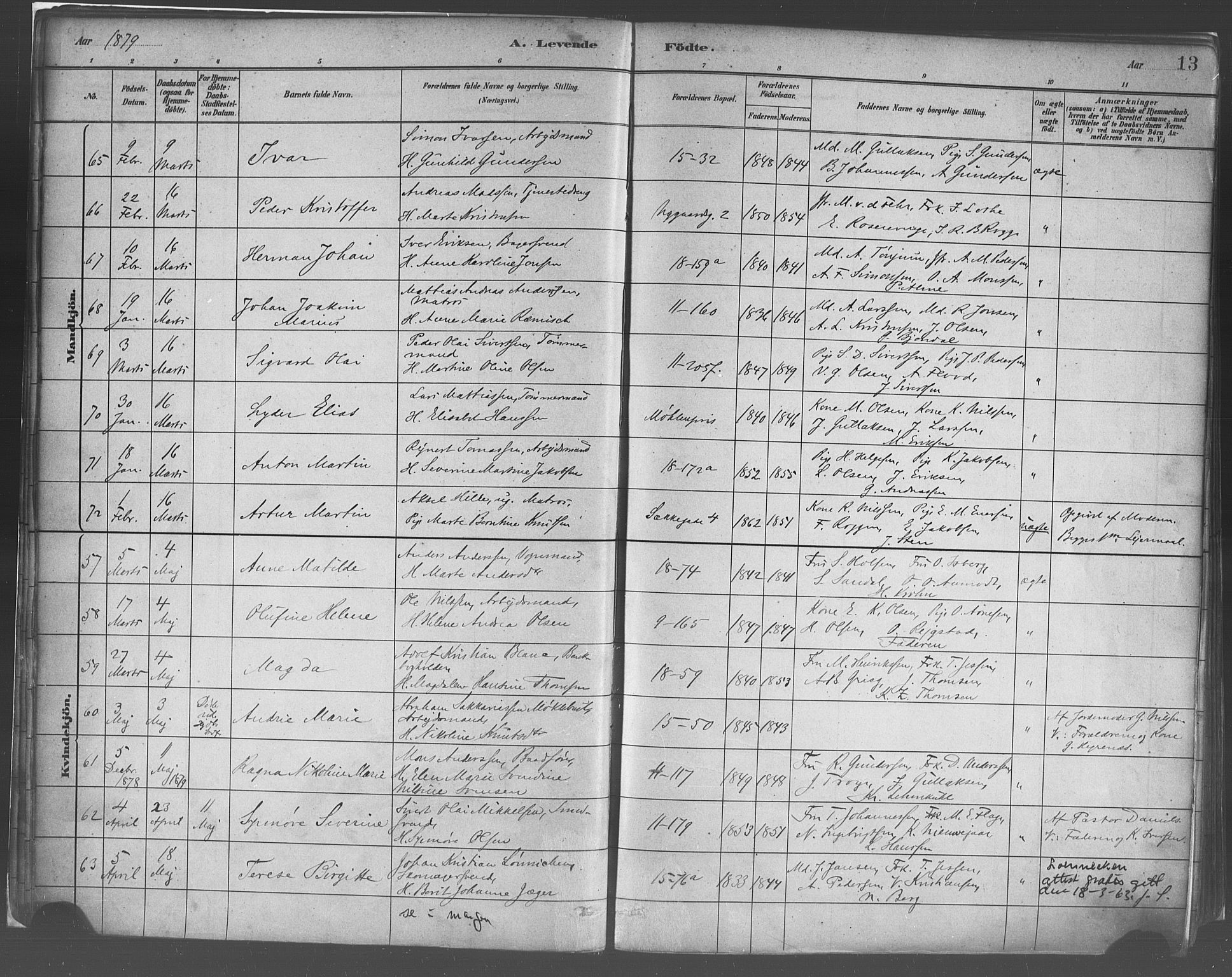 Domkirken sokneprestembete, AV/SAB-A-74801/H/Haa/L0023: Parish register (official) no. B 6, 1879-1887, p. 13