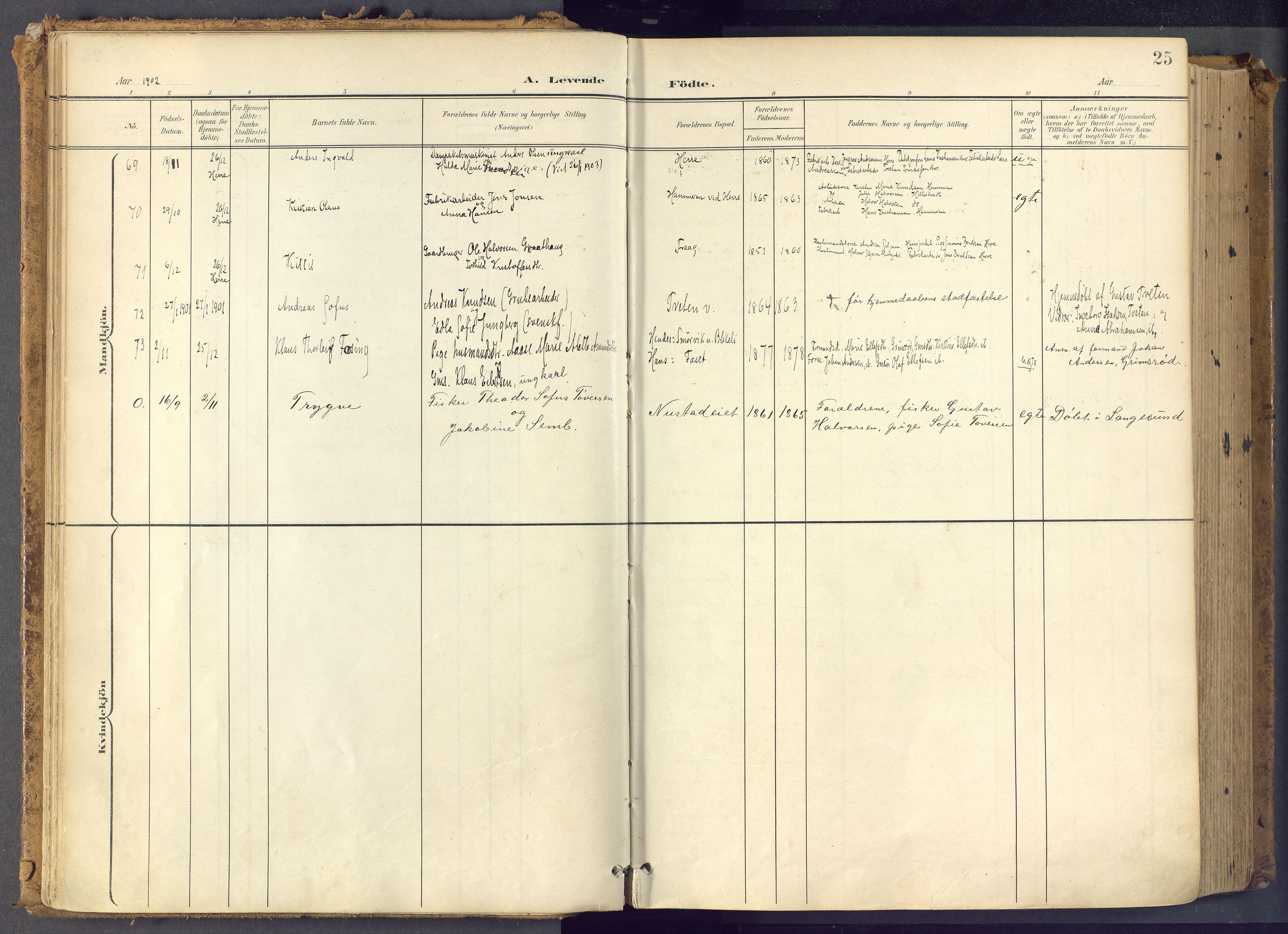 Bamble kirkebøker, SAKO/A-253/F/Fa/L0009: Parish register (official) no. I 9, 1901-1917, p. 25