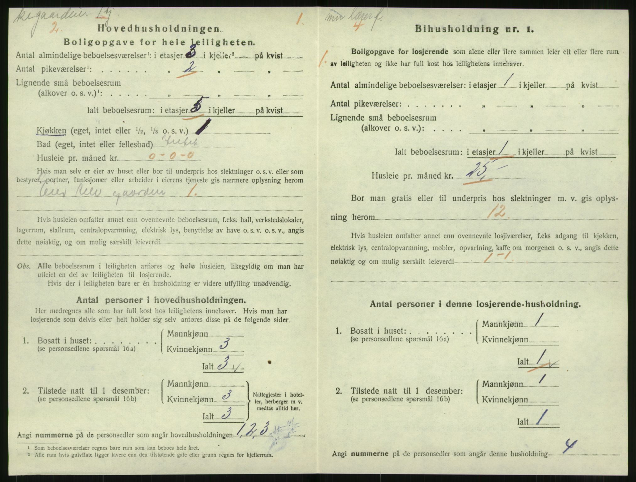 SAT, 1920 census for Levanger town, 1920, p. 919