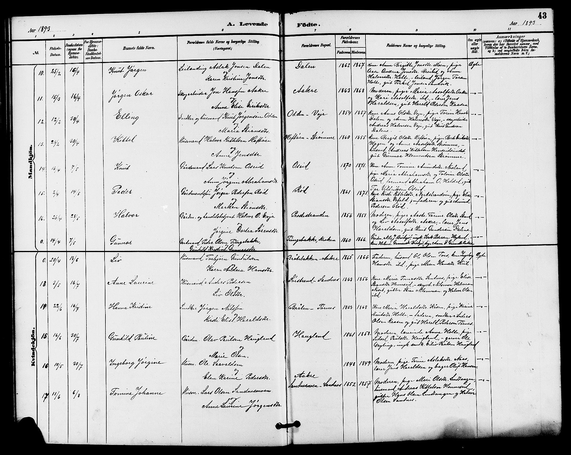 Drangedal kirkebøker, SAKO/A-258/G/Ga/L0003: Parish register (copy) no. I 3, 1887-1906, p. 43