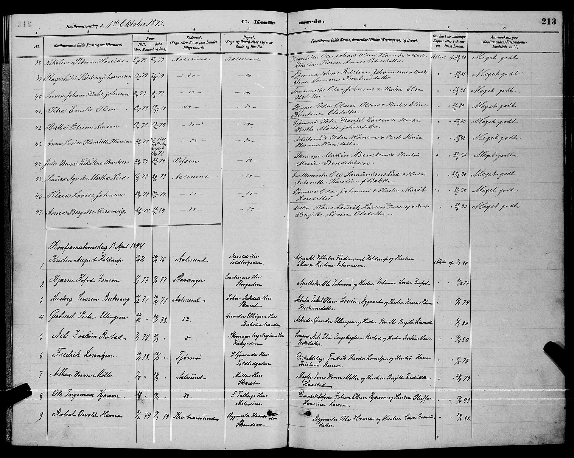 Ministerialprotokoller, klokkerbøker og fødselsregistre - Møre og Romsdal, AV/SAT-A-1454/529/L0467: Parish register (copy) no. 529C04, 1889-1897, p. 213