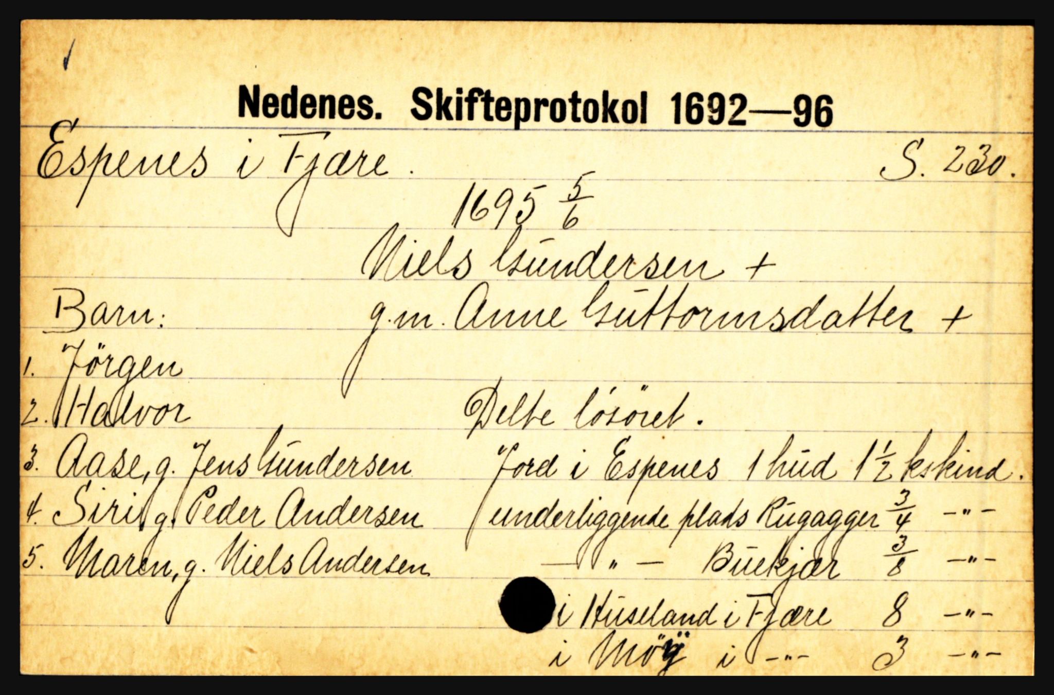 Nedenes sorenskriveri før 1824, AV/SAK-1221-0007/H, p. 6411