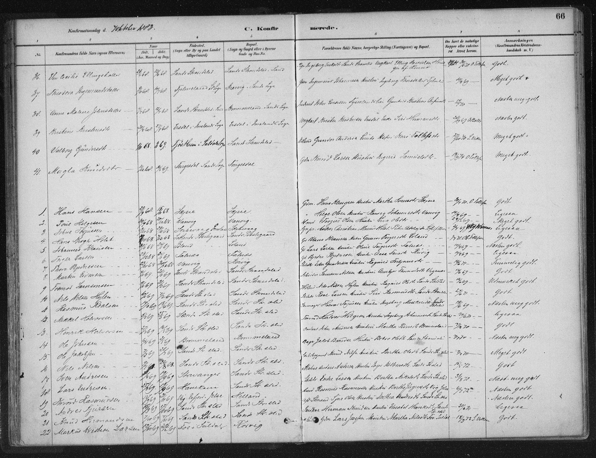 Sand sokneprestkontor, SAST/A-101848/01/III/L0005: Parish register (official) no. A 5, 1880-1898, p. 66