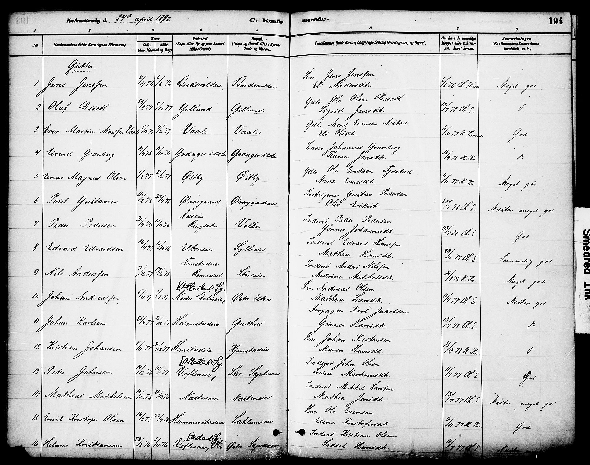 Stange prestekontor, SAH/PREST-002/K/L0017: Parish register (official) no. 17, 1880-1893, p. 194