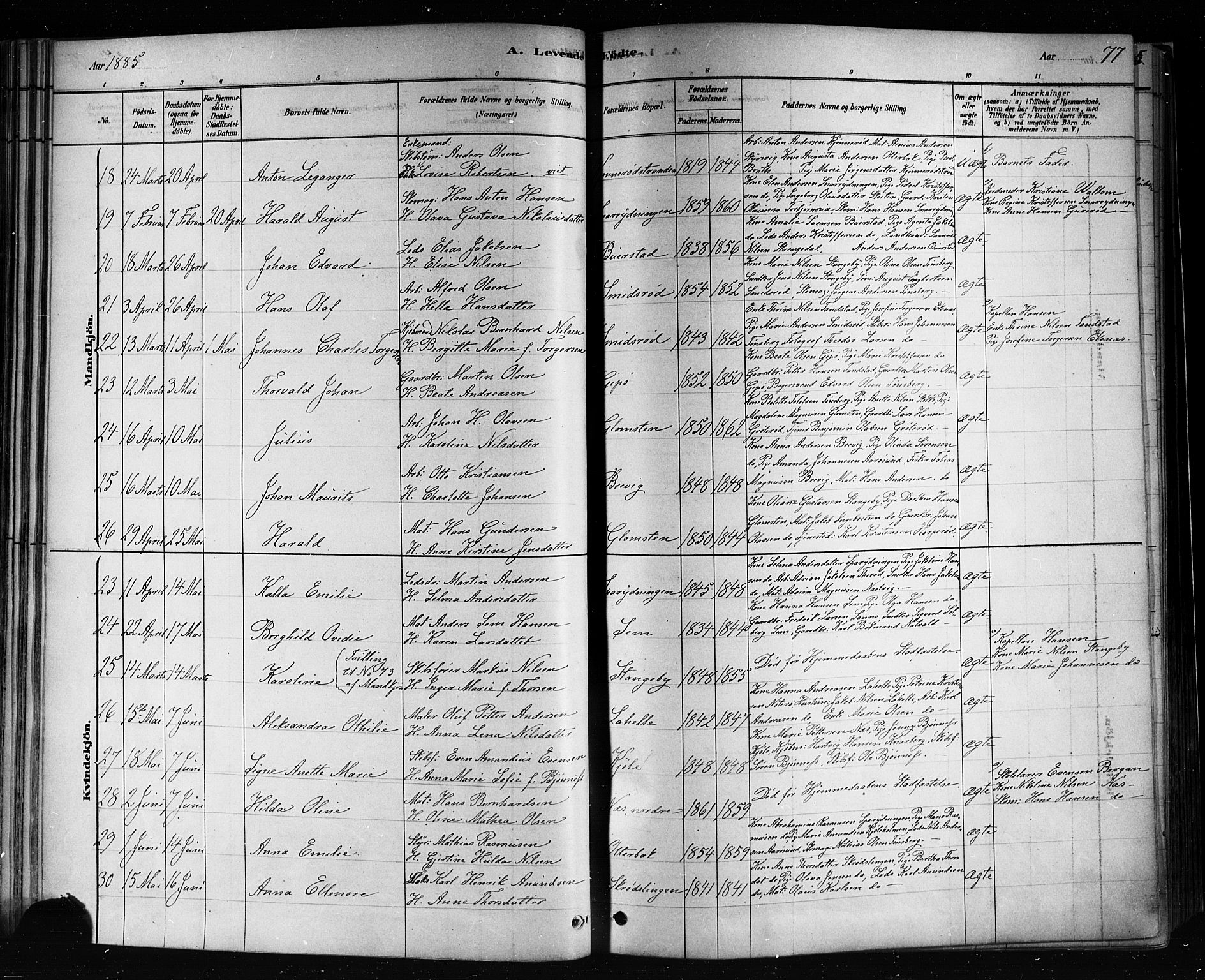 Nøtterøy kirkebøker, AV/SAKO-A-354/F/Fa/L0008: Parish register (official) no. I 8, 1878-1893, p. 77