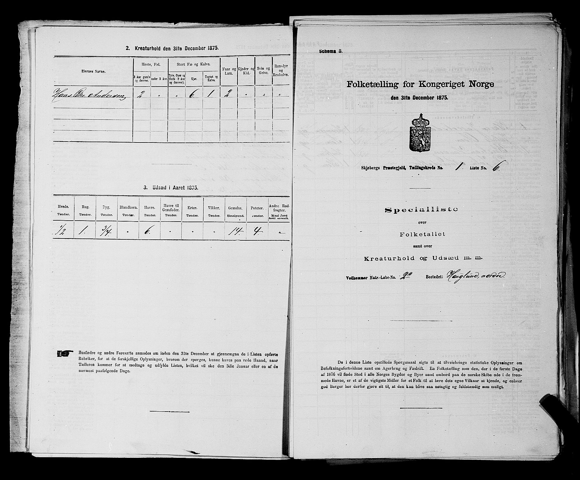 RA, 1875 census for 0115P Skjeberg, 1875, p. 39