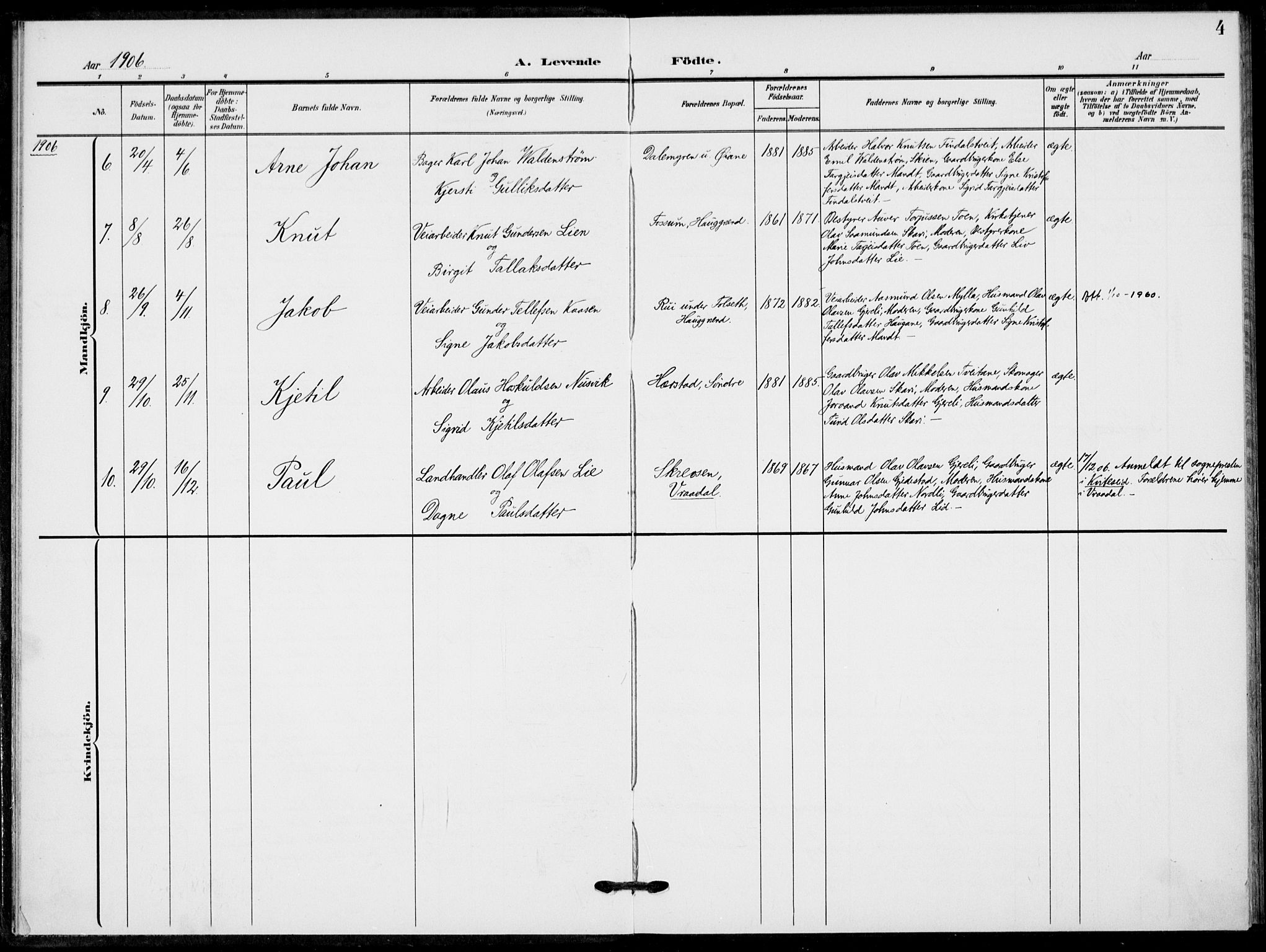 Fyresdal kirkebøker, SAKO/A-263/F/Fb/L0004: Parish register (official) no. II 4, 1903-1920, p. 4