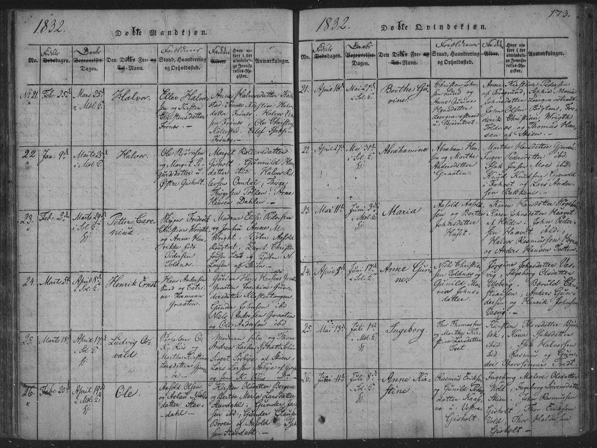 Solum kirkebøker, SAKO/A-306/F/Fa/L0004: Parish register (official) no. I 4, 1814-1833, p. 173