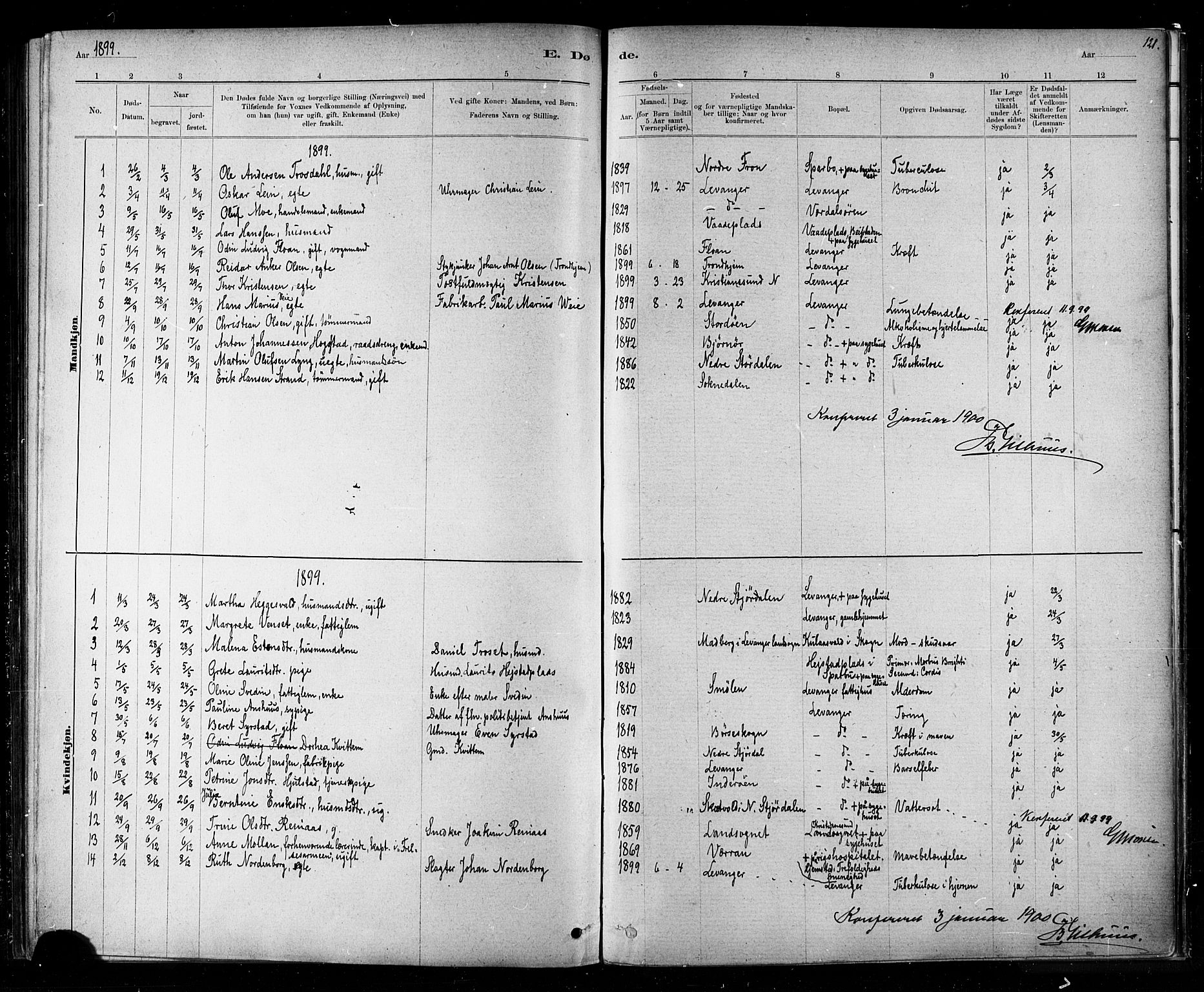 Ministerialprotokoller, klokkerbøker og fødselsregistre - Nord-Trøndelag, SAT/A-1458/720/L0192: Parish register (copy) no. 720C01, 1880-1917, p. 121