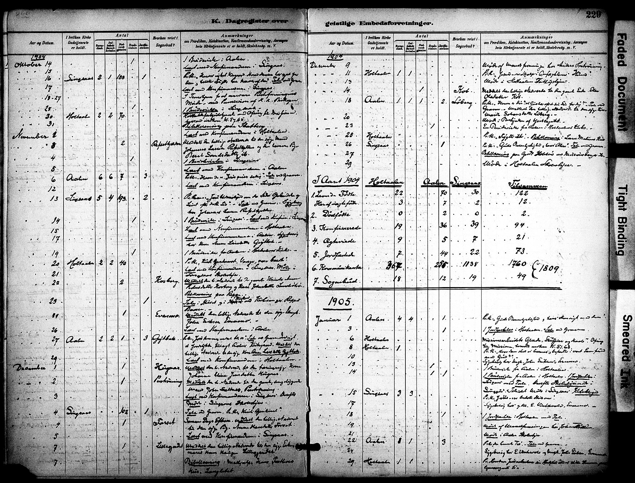 Ministerialprotokoller, klokkerbøker og fødselsregistre - Sør-Trøndelag, SAT/A-1456/686/L0984: Parish register (official) no. 686A02, 1891-1906, p. 229