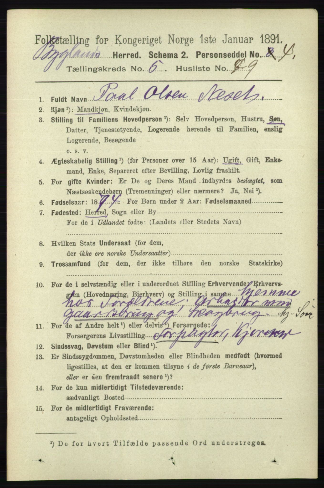 RA, 1891 census for 0938 Bygland, 1891, p. 1300