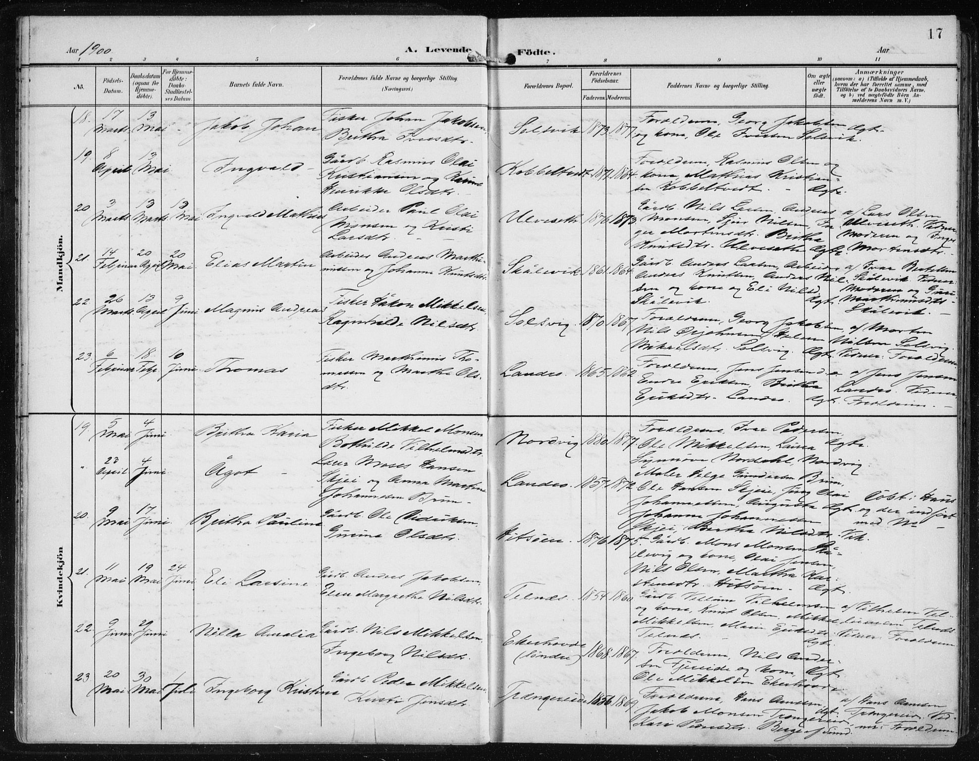 Fjell sokneprestembete, SAB/A-75301/H/Haa: Parish register (official) no. A  9, 1899-1910, p. 17