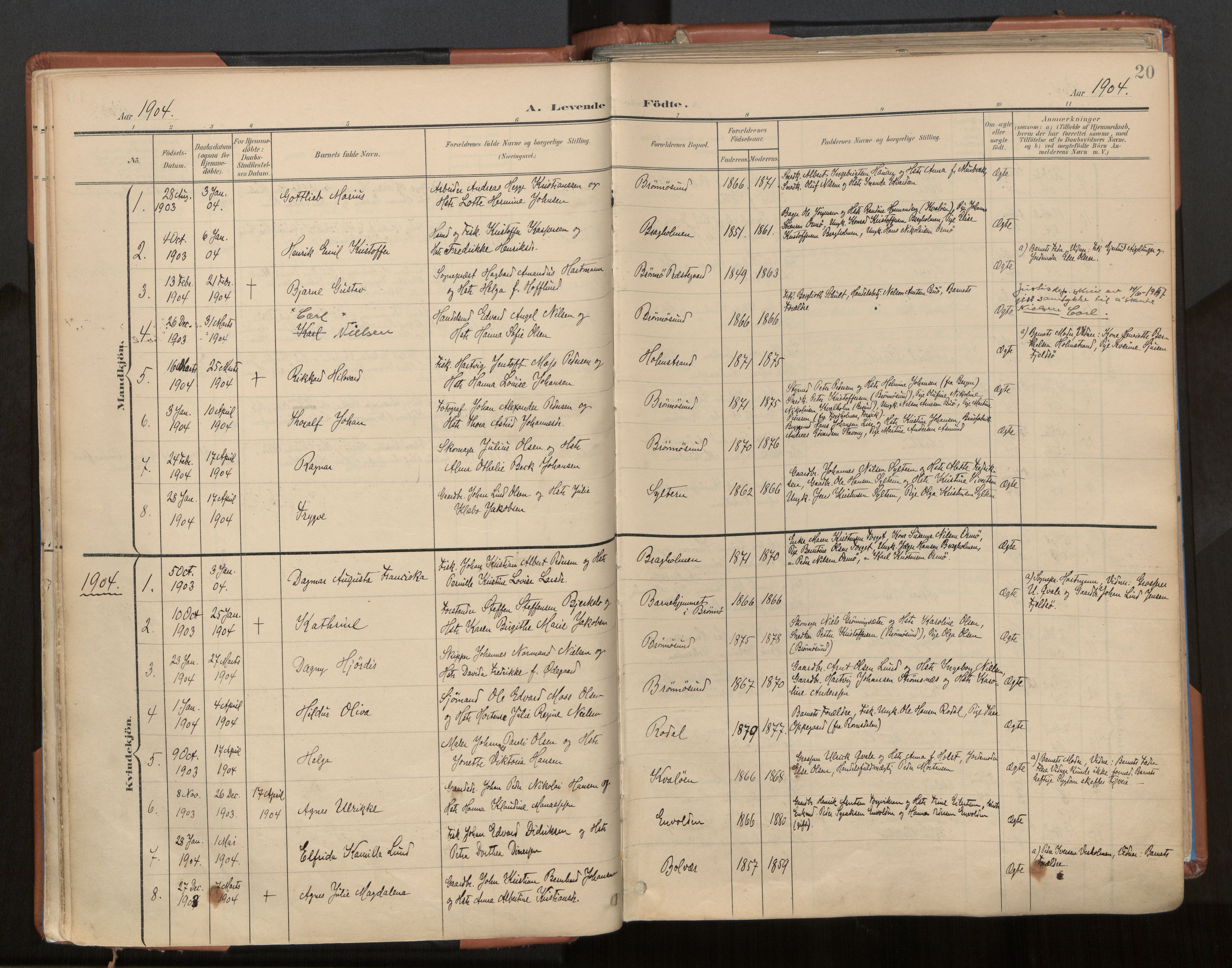 Ministerialprotokoller, klokkerbøker og fødselsregistre - Nordland, SAT/A-1459/813/L0201: Parish register (official) no. 813A11, 1901-1918, p. 20
