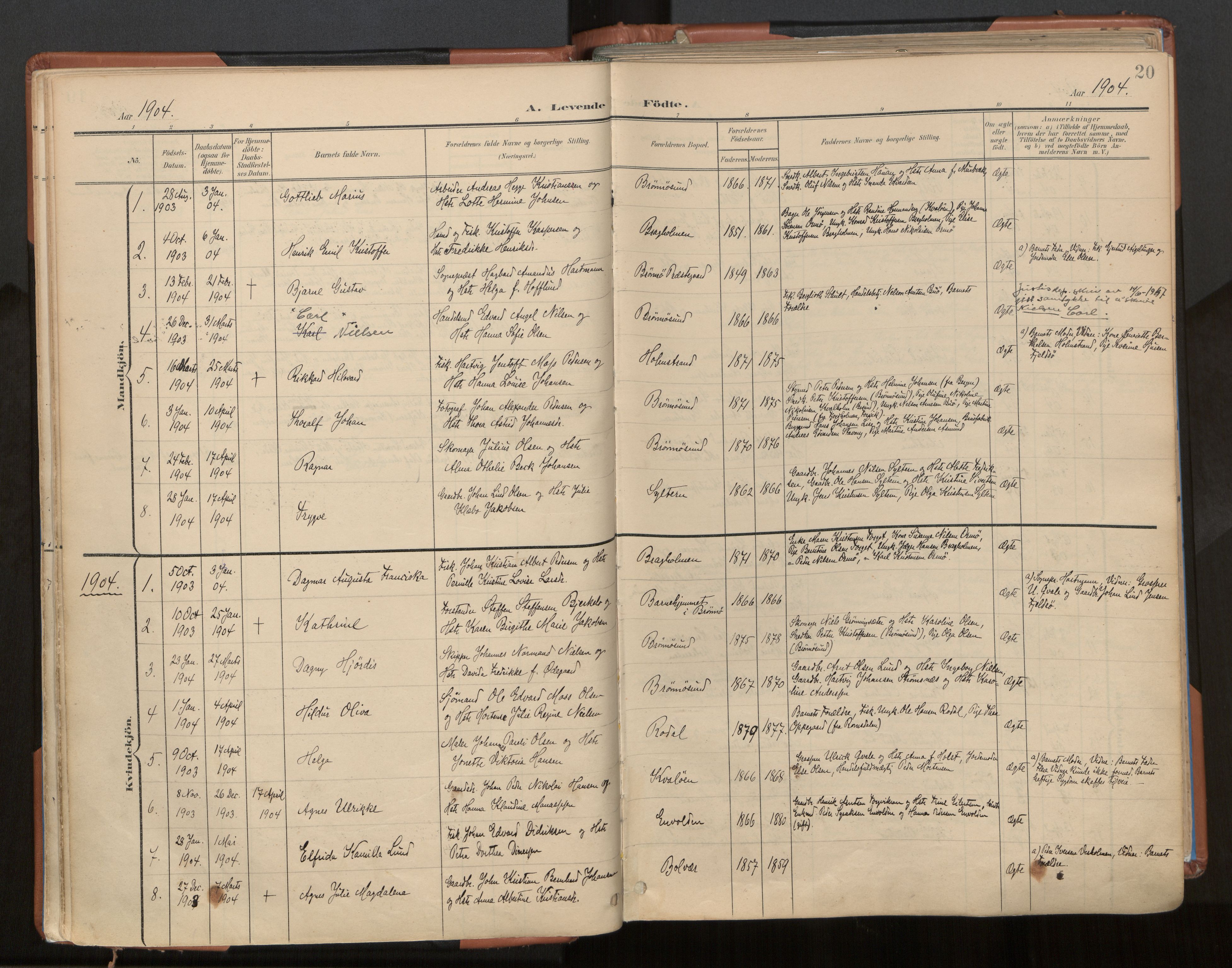 Ministerialprotokoller, klokkerbøker og fødselsregistre - Nordland, AV/SAT-A-1459/813/L0201: Parish register (official) no. 813A11, 1901-1918, p. 20