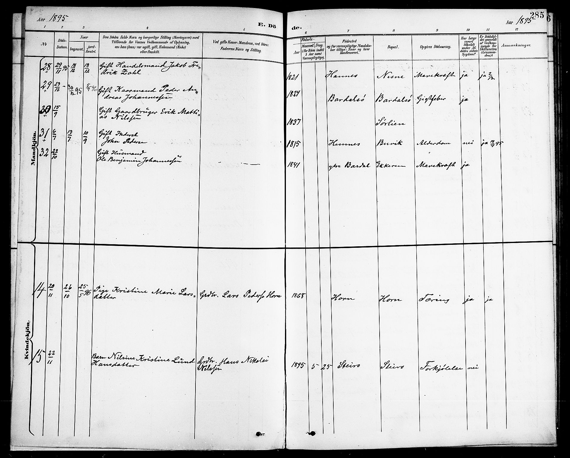 Ministerialprotokoller, klokkerbøker og fødselsregistre - Nordland, AV/SAT-A-1459/838/L0559: Parish register (copy) no. 838C06, 1893-1910, p. 285