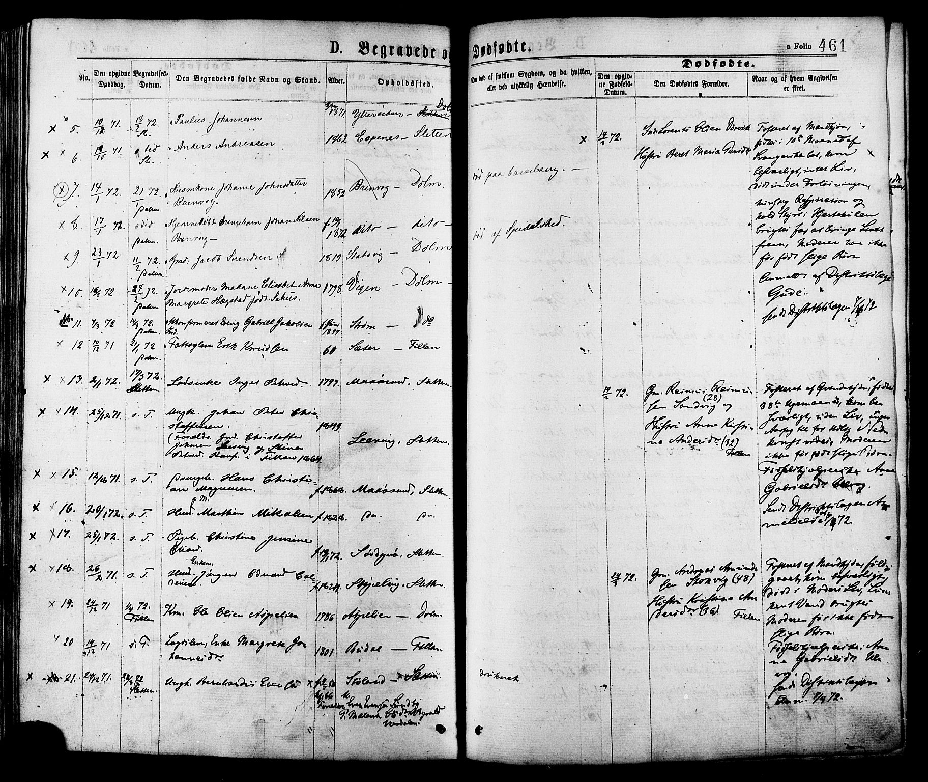 Ministerialprotokoller, klokkerbøker og fødselsregistre - Sør-Trøndelag, SAT/A-1456/634/L0532: Parish register (official) no. 634A08, 1871-1881, p. 461