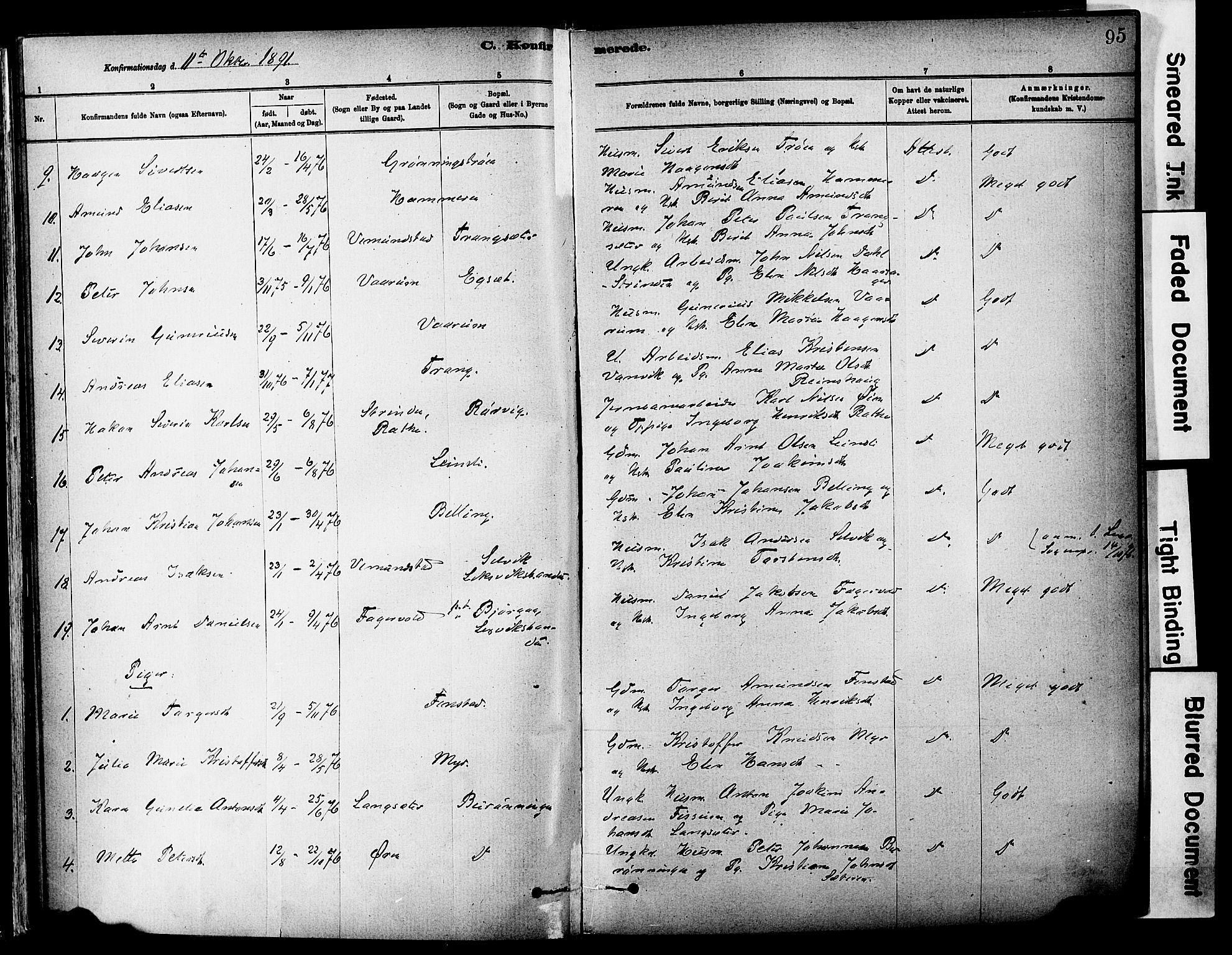 Ministerialprotokoller, klokkerbøker og fødselsregistre - Sør-Trøndelag, AV/SAT-A-1456/646/L0615: Parish register (official) no. 646A13, 1885-1900, p. 95
