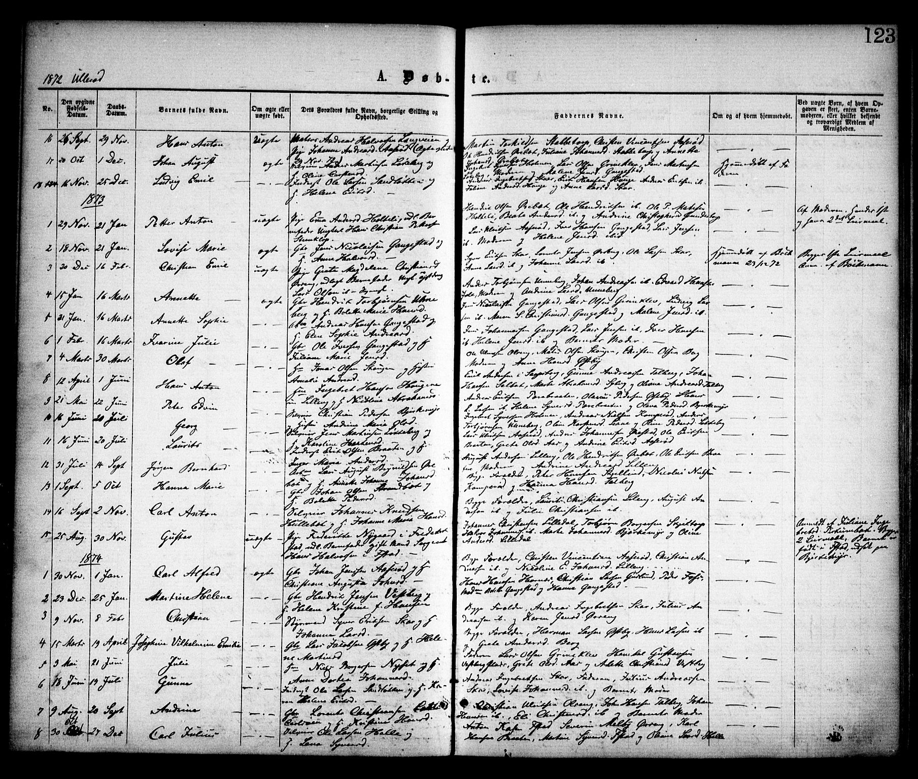 Skjeberg prestekontor Kirkebøker, SAO/A-10923/F/Fa/L0008: Parish register (official) no. I 8, 1869-1885, p. 123