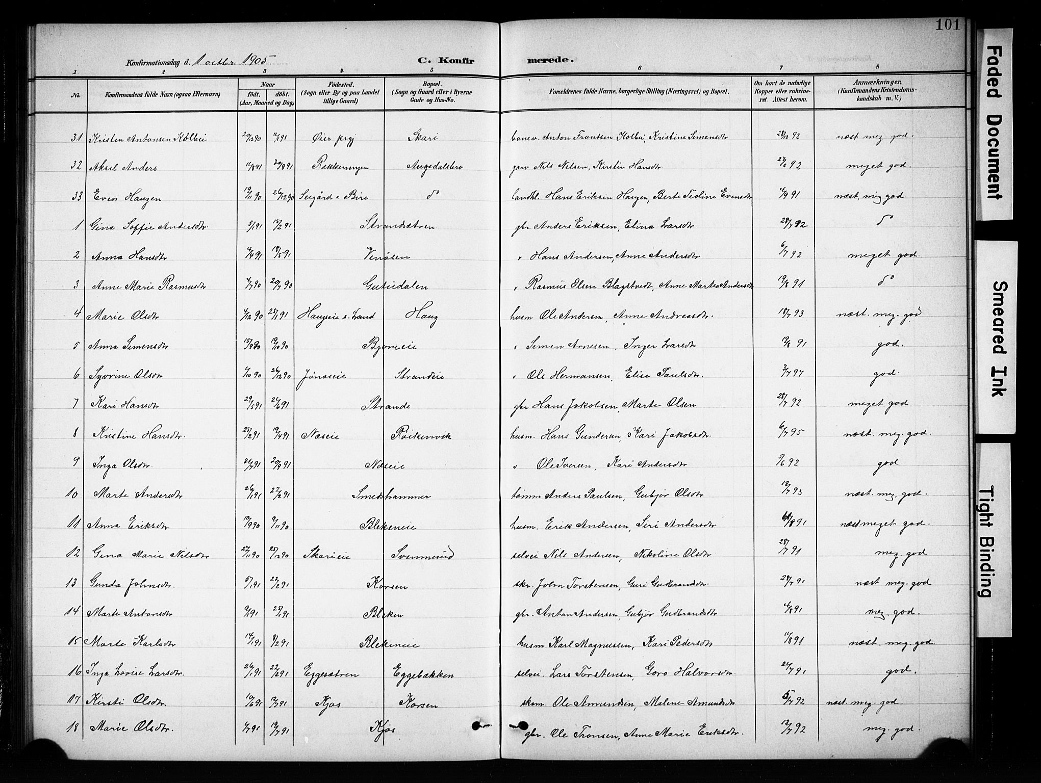 Brandbu prestekontor, SAH/PREST-114/H/Ha/Hab/L0005: Parish register (copy) no. 5, 1900-1913, p. 101