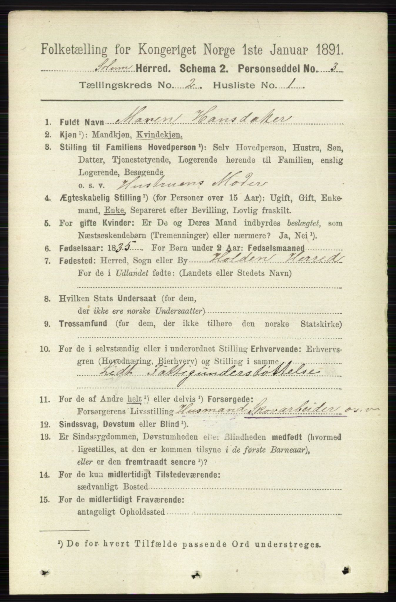 RA, 1891 census for 0818 Solum, 1891, p. 119