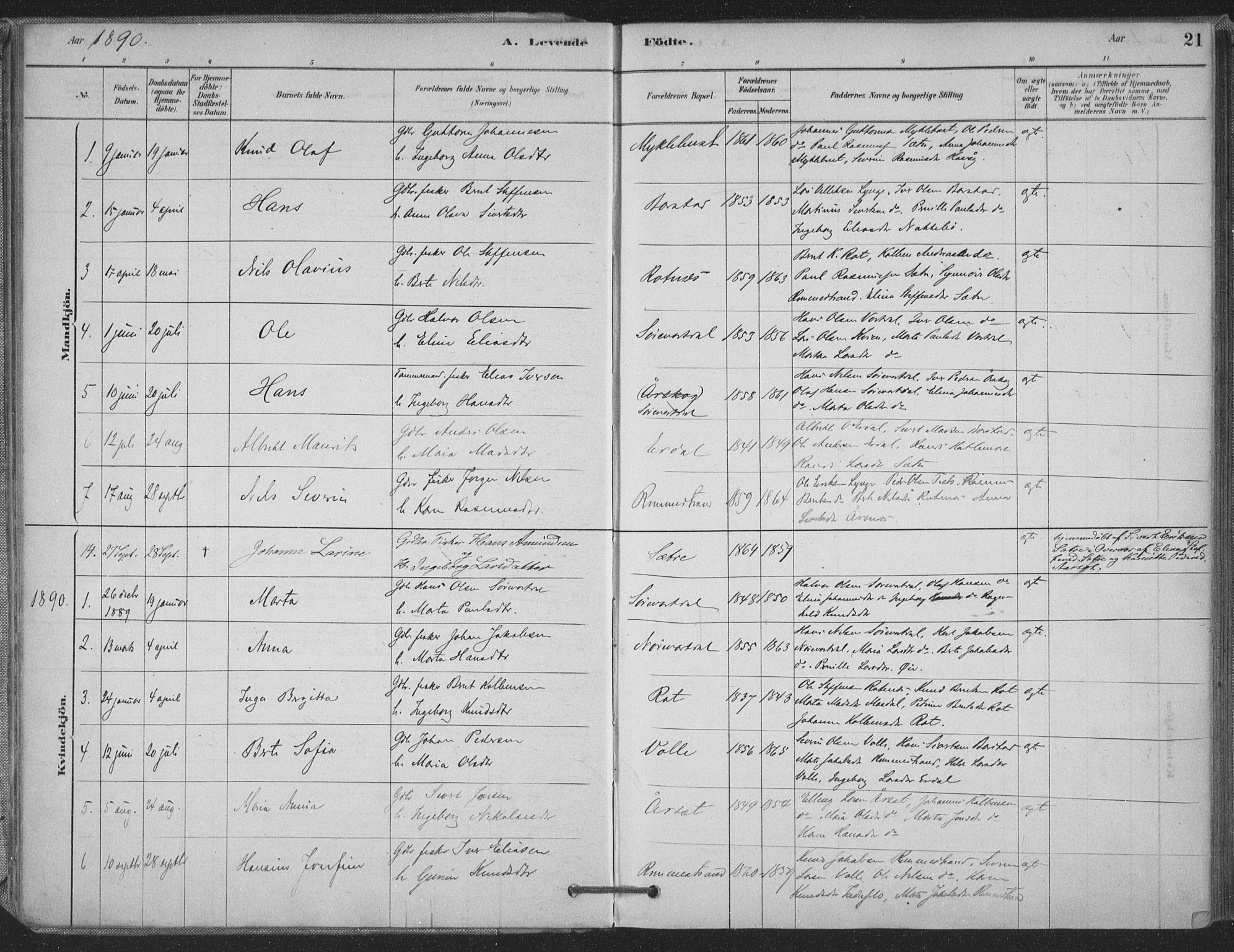 Ministerialprotokoller, klokkerbøker og fødselsregistre - Møre og Romsdal, AV/SAT-A-1454/514/L0199: Parish register (official) no. 514A01, 1878-1912, p. 21