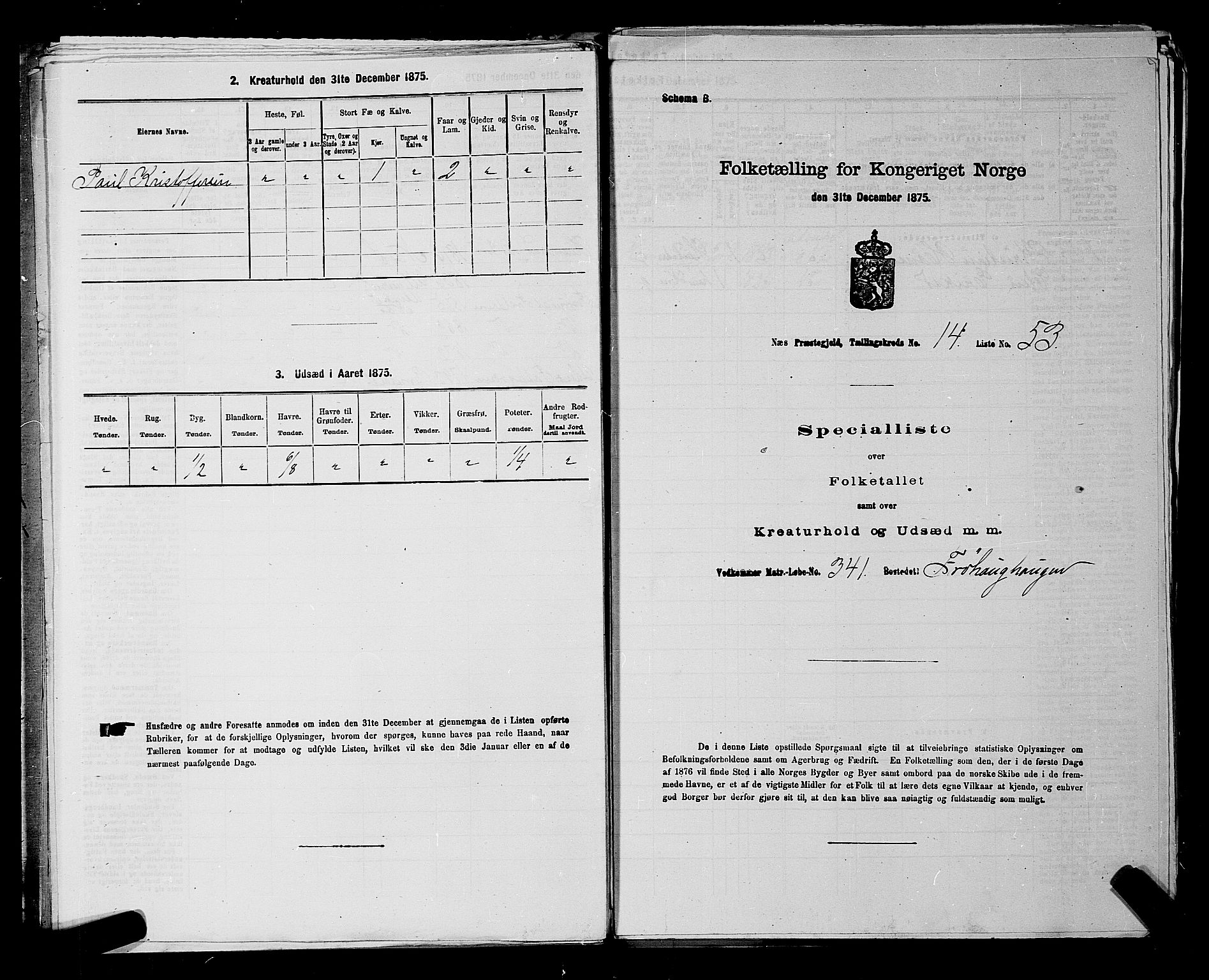 RA, 1875 census for 0236P Nes, 1875, p. 2585