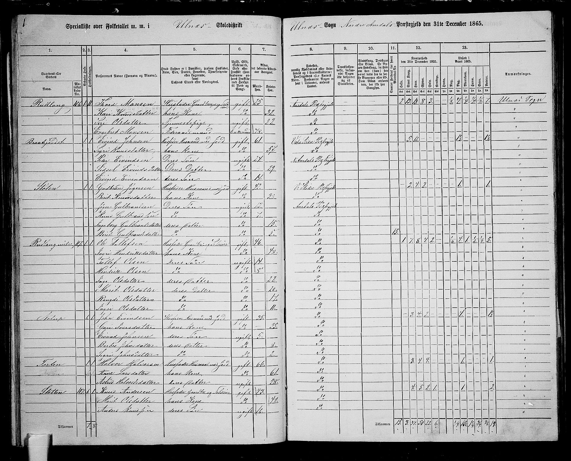 RA, 1865 census for Nord-Aurdal, 1865, p. 110