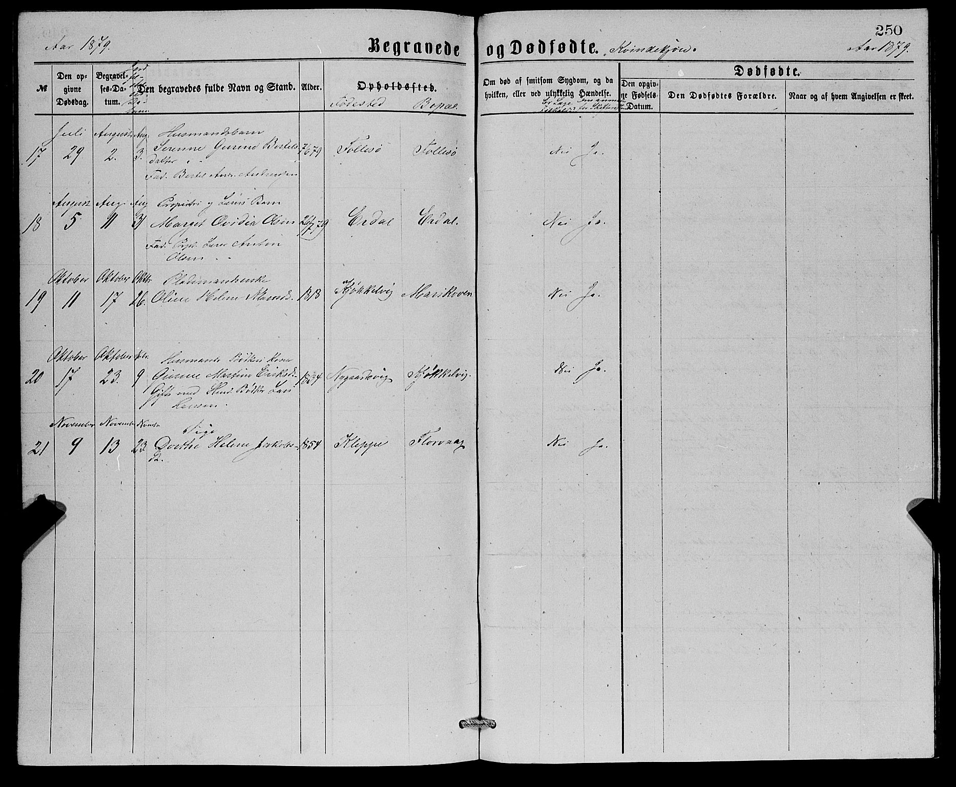 Askøy Sokneprestembete, SAB/A-74101/H/Ha/Hab/Haba/L0007: Parish register (copy) no. A 7, 1871-1881, p. 250