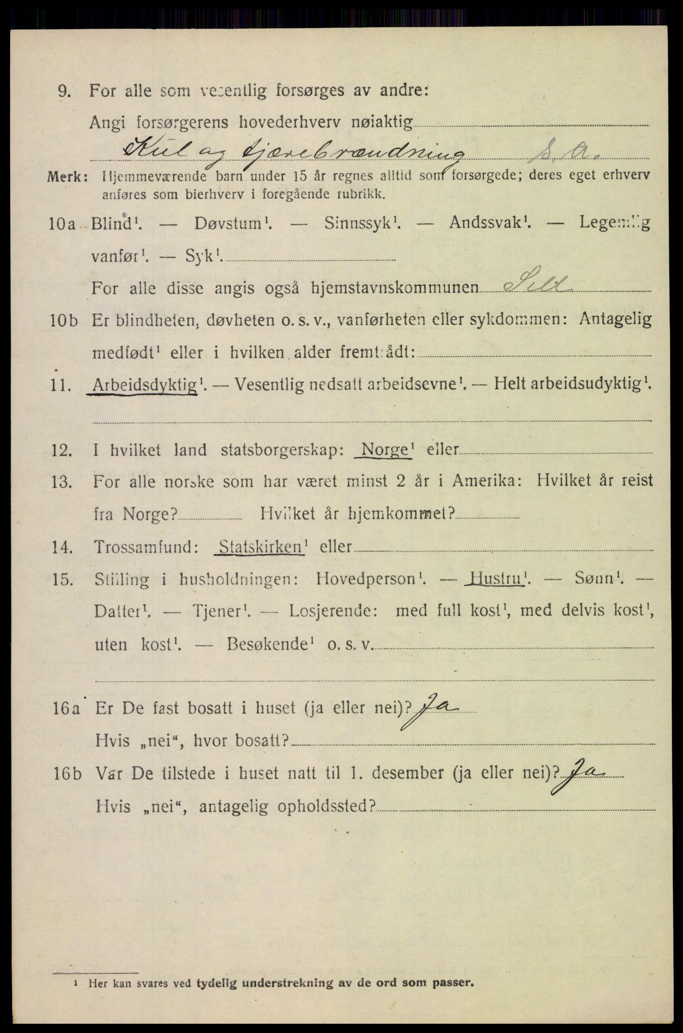 SAH, 1920 census for Sel, 1920, p. 5423