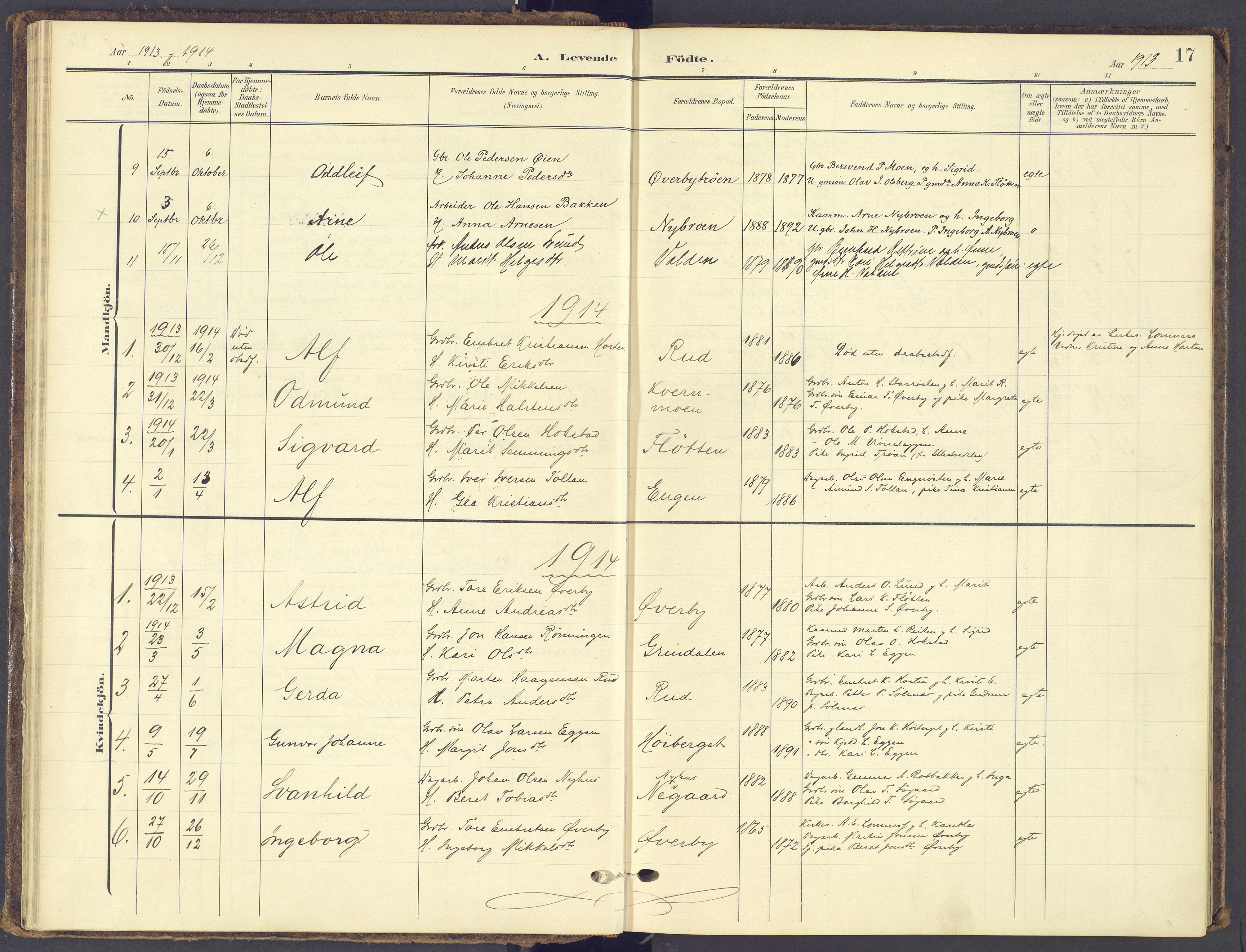 Tynset prestekontor, SAH/PREST-058/H/Ha/Haa/L0028: Parish register (official) no. 28, 1902-1929, p. 17