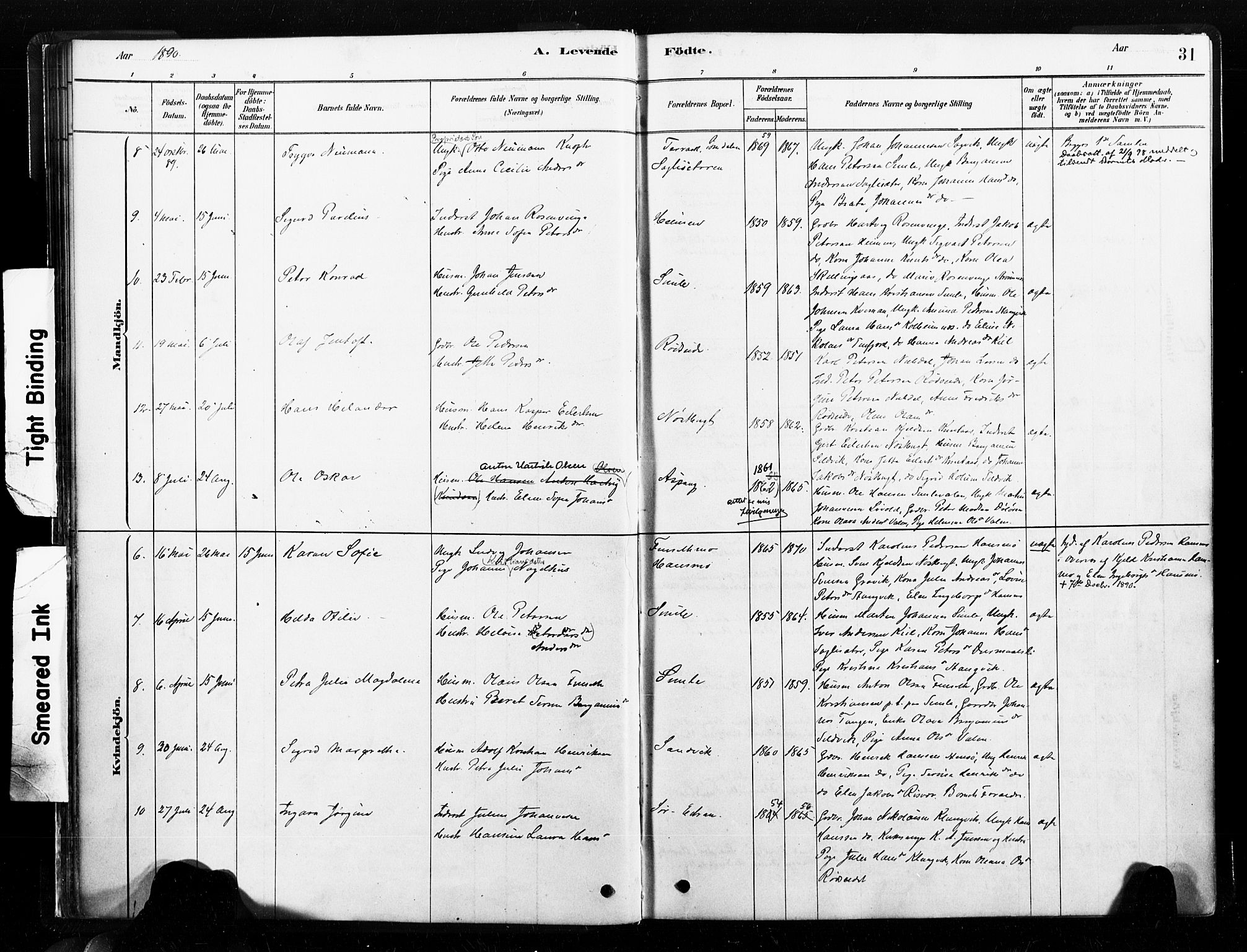 Ministerialprotokoller, klokkerbøker og fødselsregistre - Nord-Trøndelag, AV/SAT-A-1458/789/L0705: Parish register (official) no. 789A01, 1878-1910, p. 31