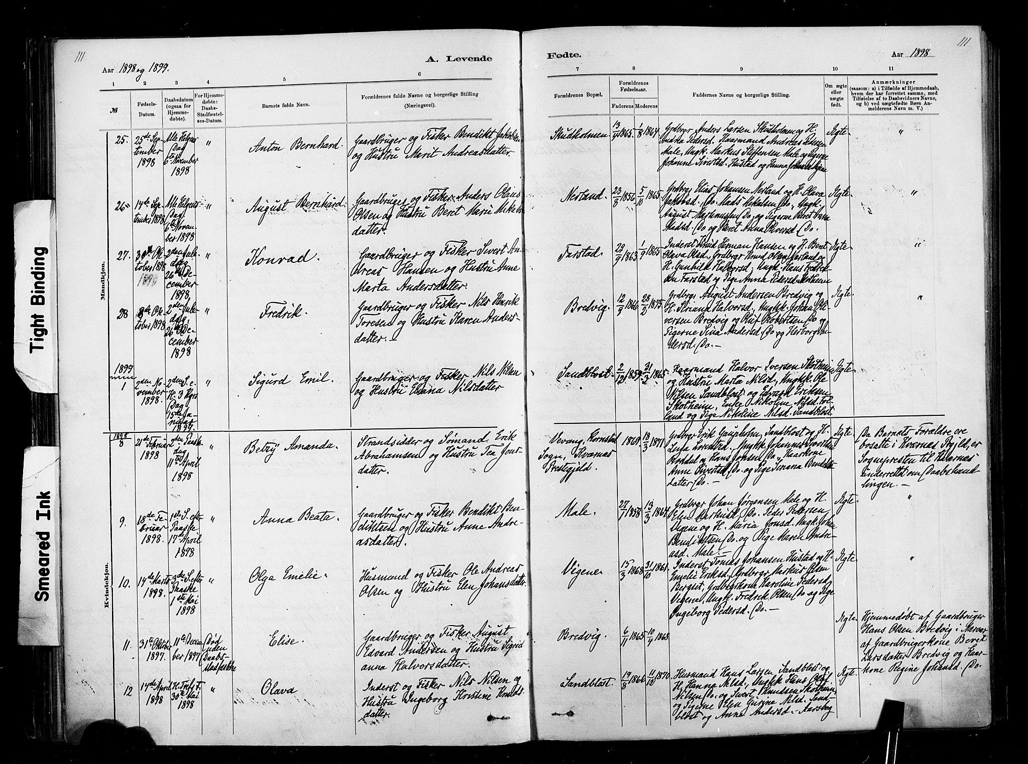 Ministerialprotokoller, klokkerbøker og fødselsregistre - Møre og Romsdal, AV/SAT-A-1454/567/L0778: Parish register (official) no. 567A01, 1881-1903, p. 111