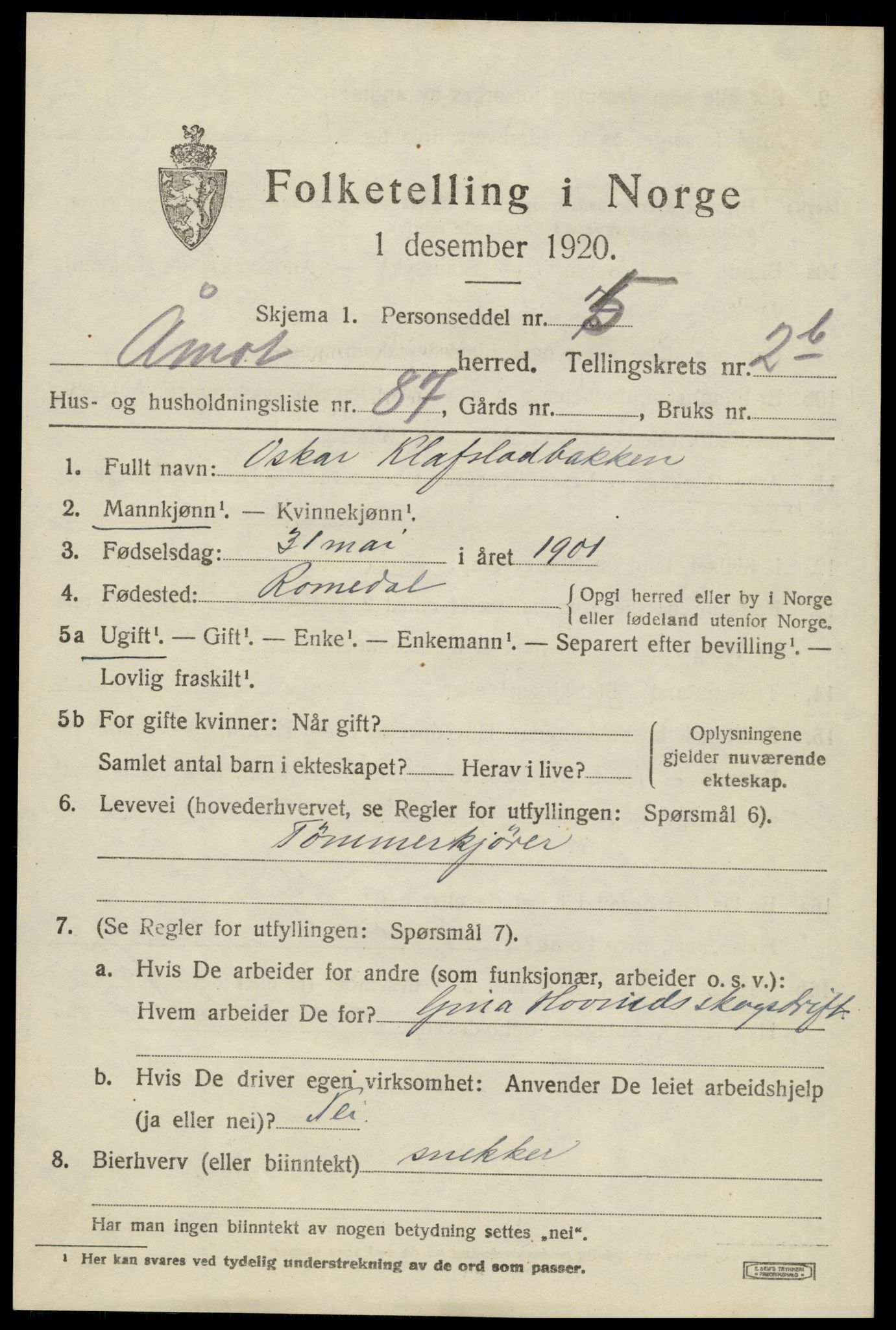 SAH, 1920 census for Åmot, 1920, p. 5063