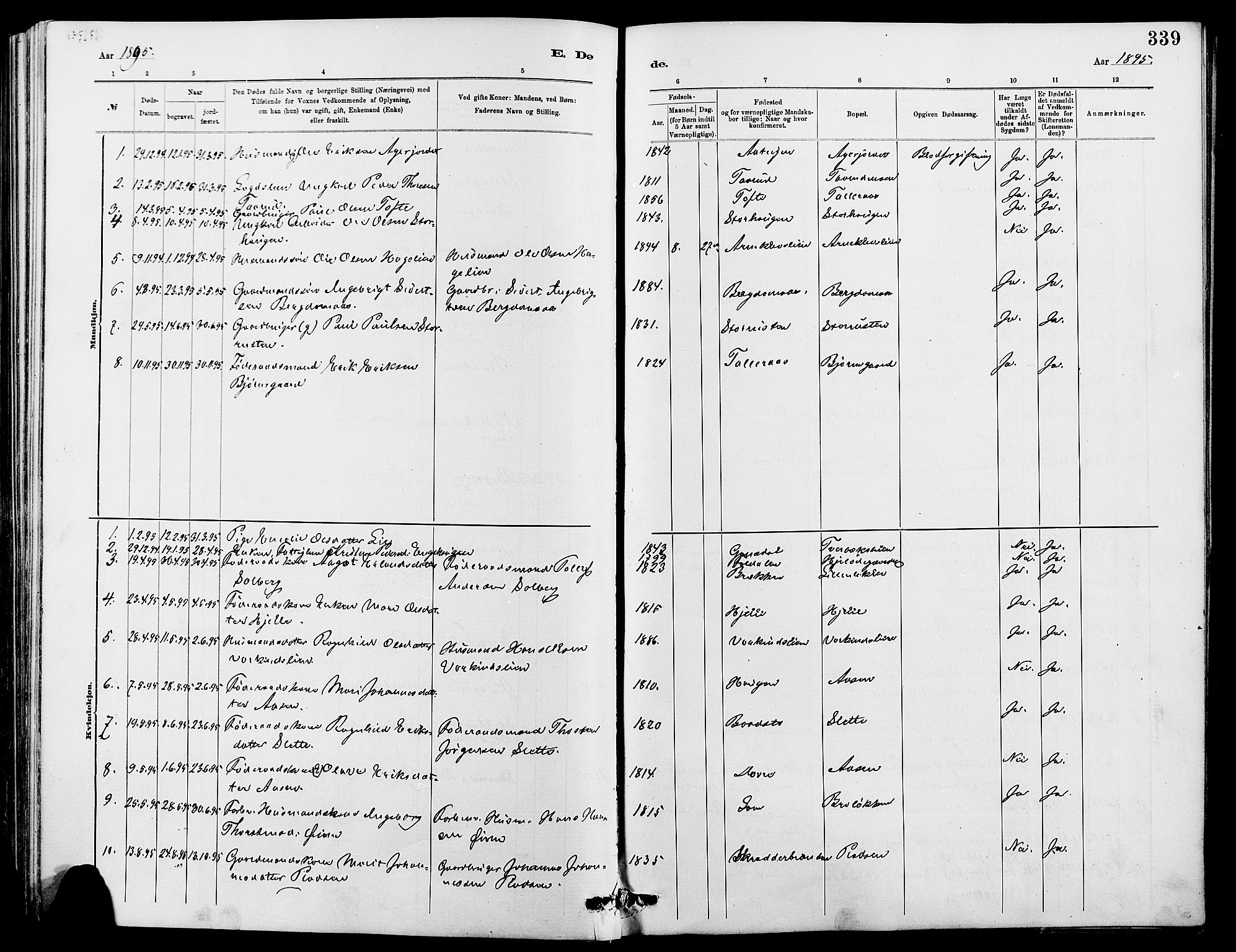 Dovre prestekontor, SAH/PREST-066/H/Ha/Hab/L0002: Parish register (copy) no. 2, 1881-1907, p. 339