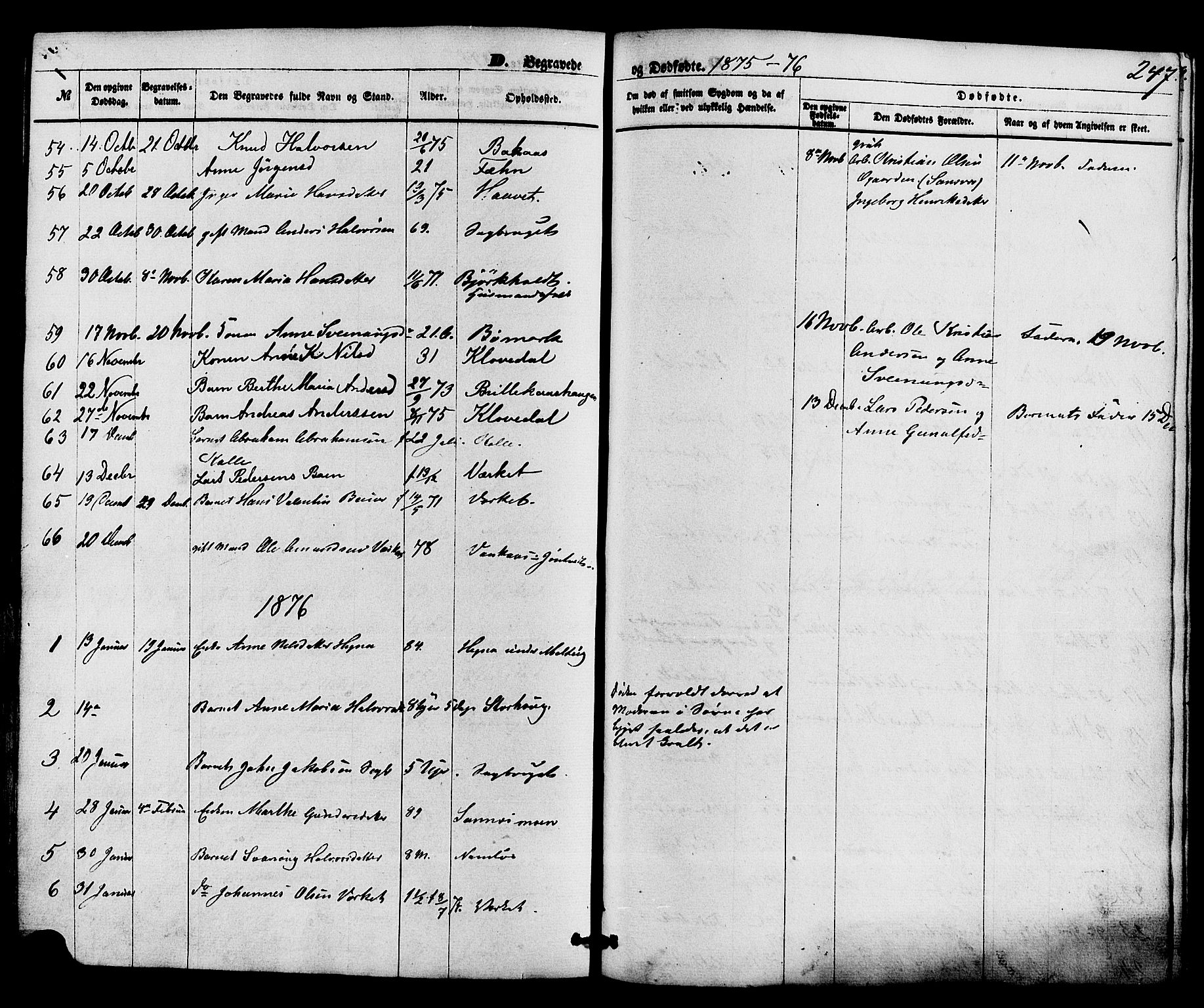 Holla kirkebøker, SAKO/A-272/F/Fa/L0007: Parish register (official) no. 7, 1869-1881, p. 247