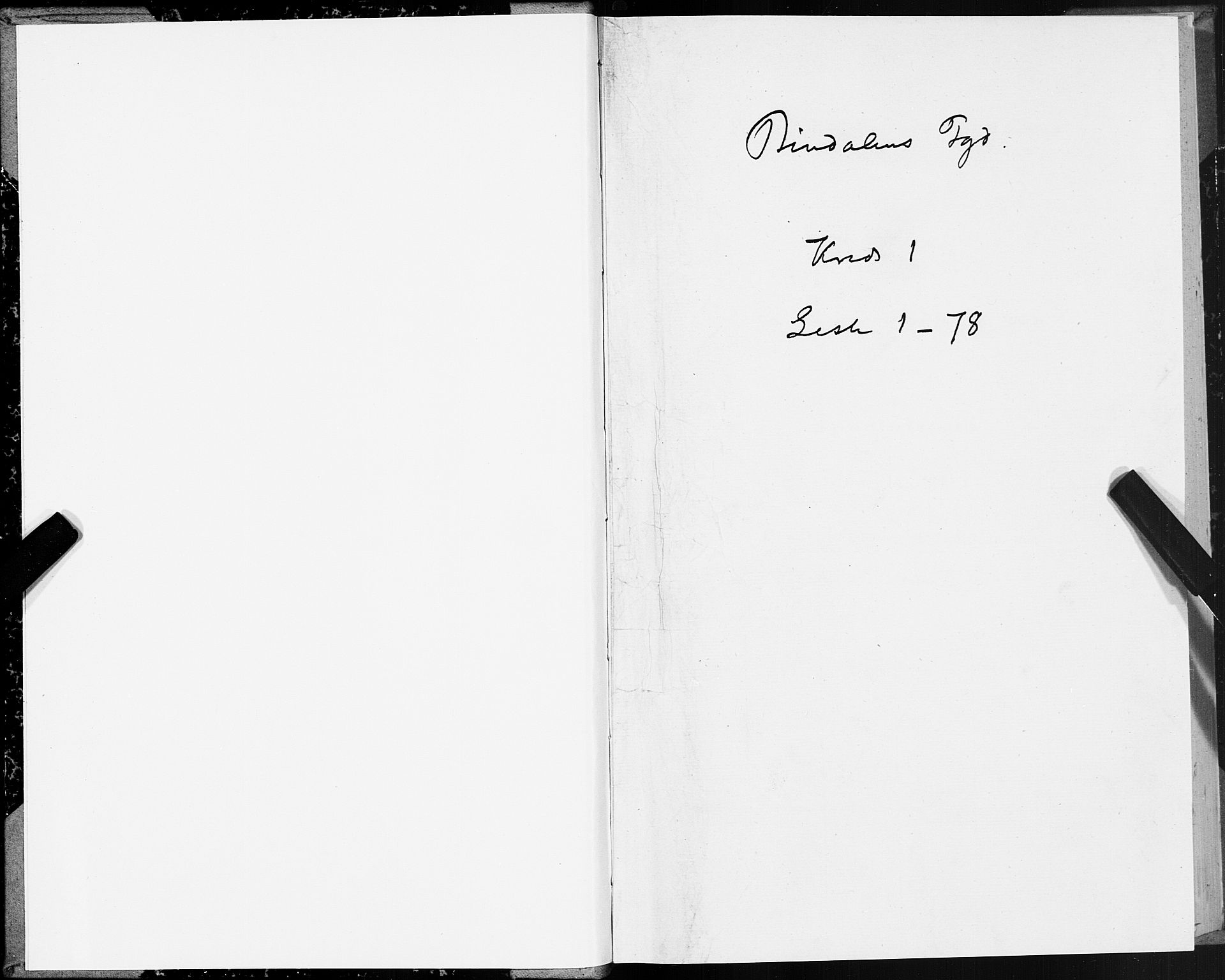 SAT, 1875 census for 1811P Bindal, 1875