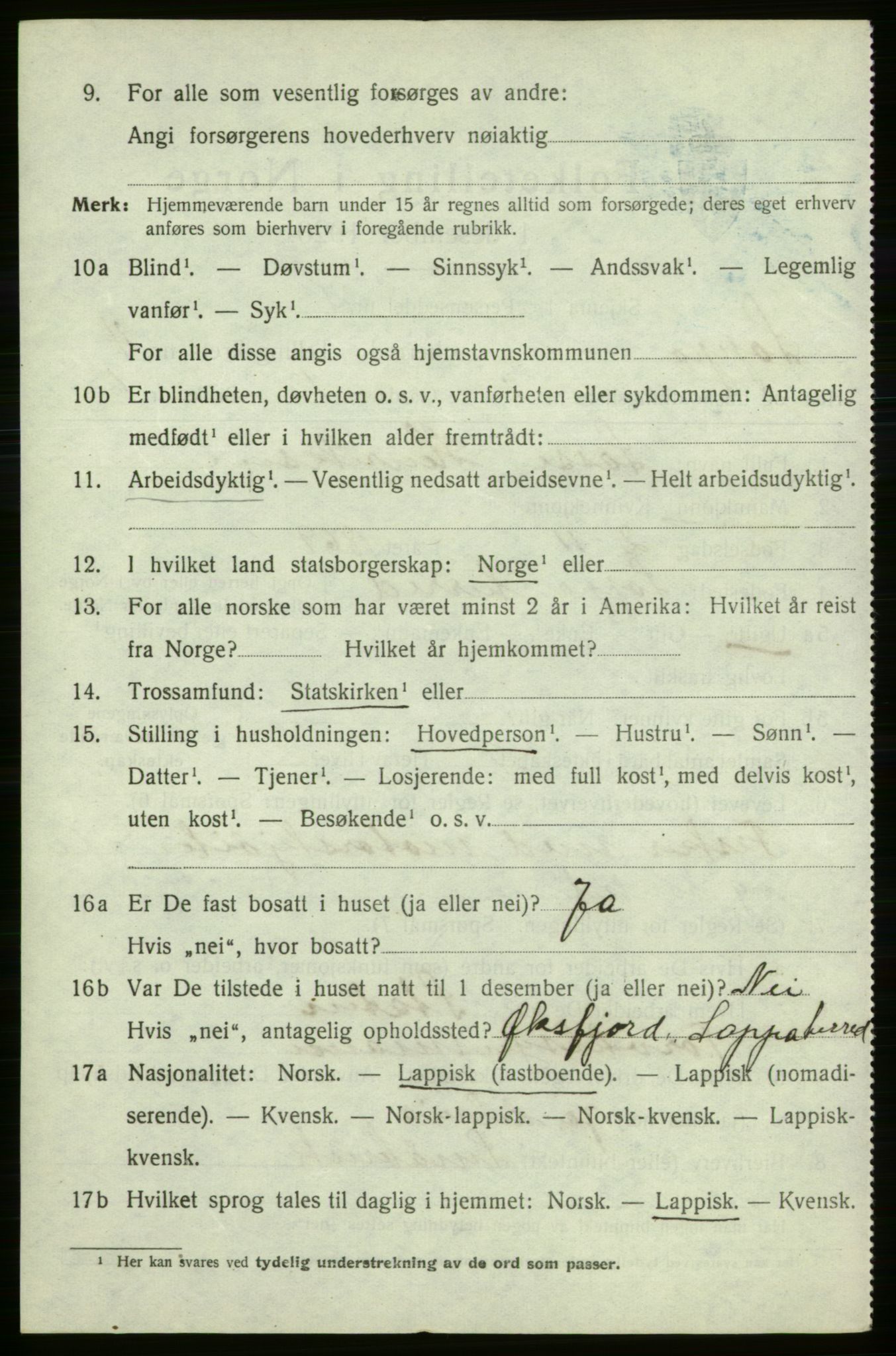 SATØ, 1920 census for Loppa, 1920, p. 1317