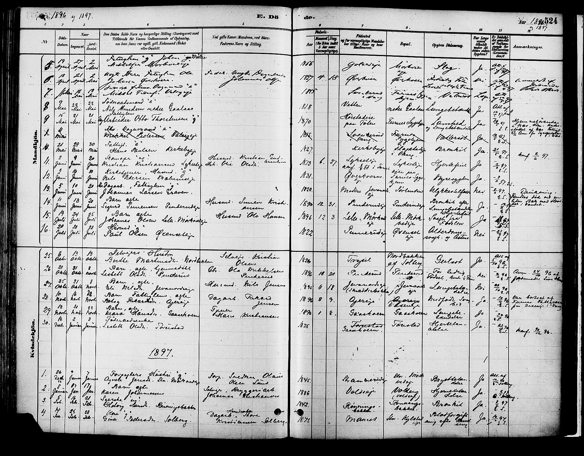 Vang prestekontor, Hedmark, SAH/PREST-008/H/Ha/Haa/L0018B: Parish register (official) no. 18B, 1880-1906, p. 524