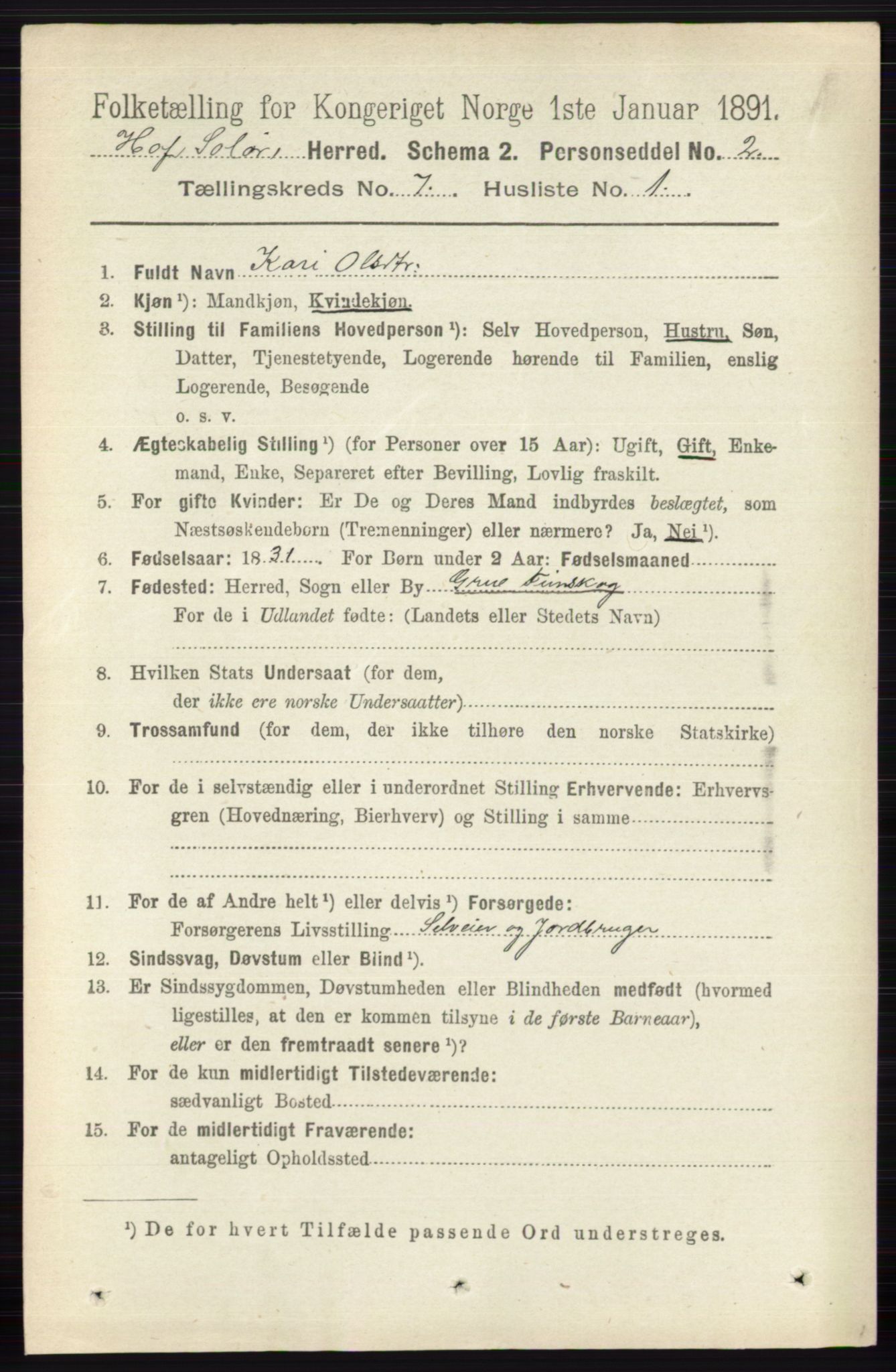 RA, 1891 census for 0424 Hof, 1891, p. 2725