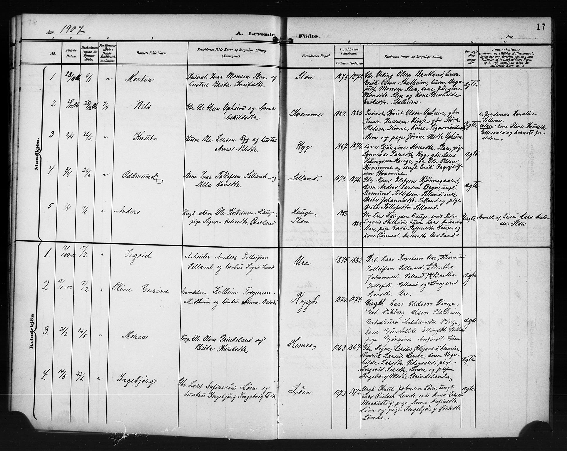 Vossestrand Sokneprestembete, AV/SAB-A-79101/H/Hab: Parish register (copy) no. A 3, 1900-1918, p. 17